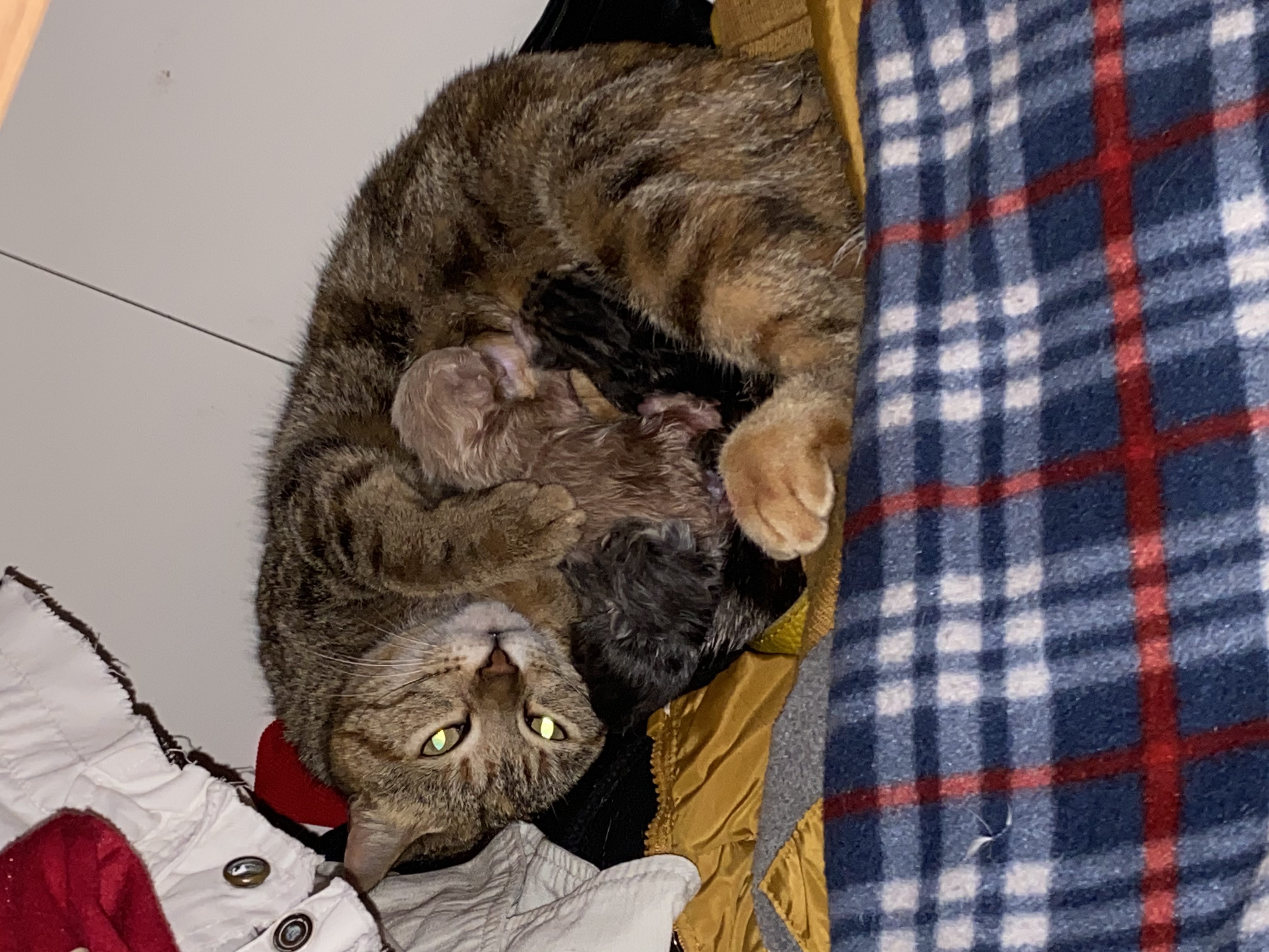 image-11