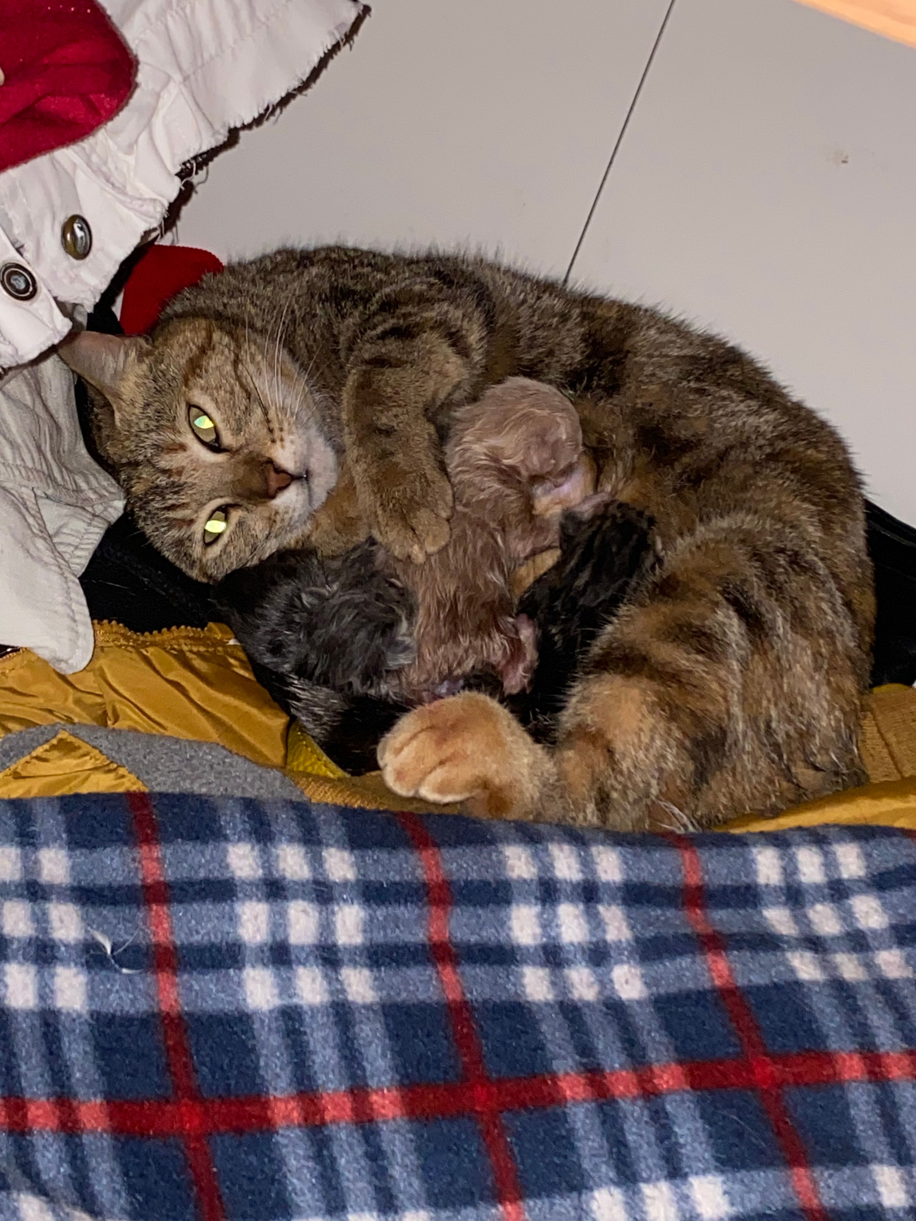 image-11
