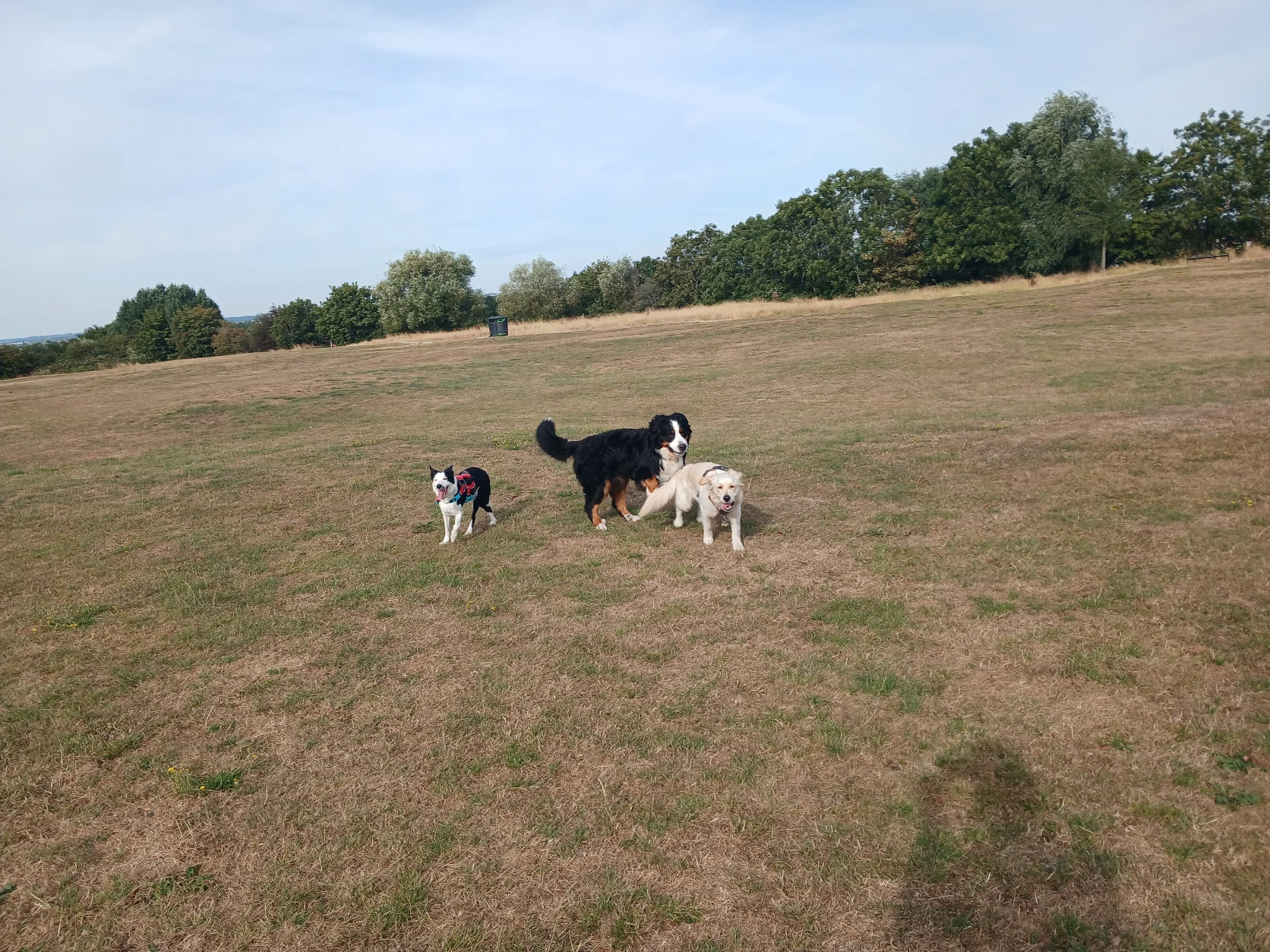 image-34