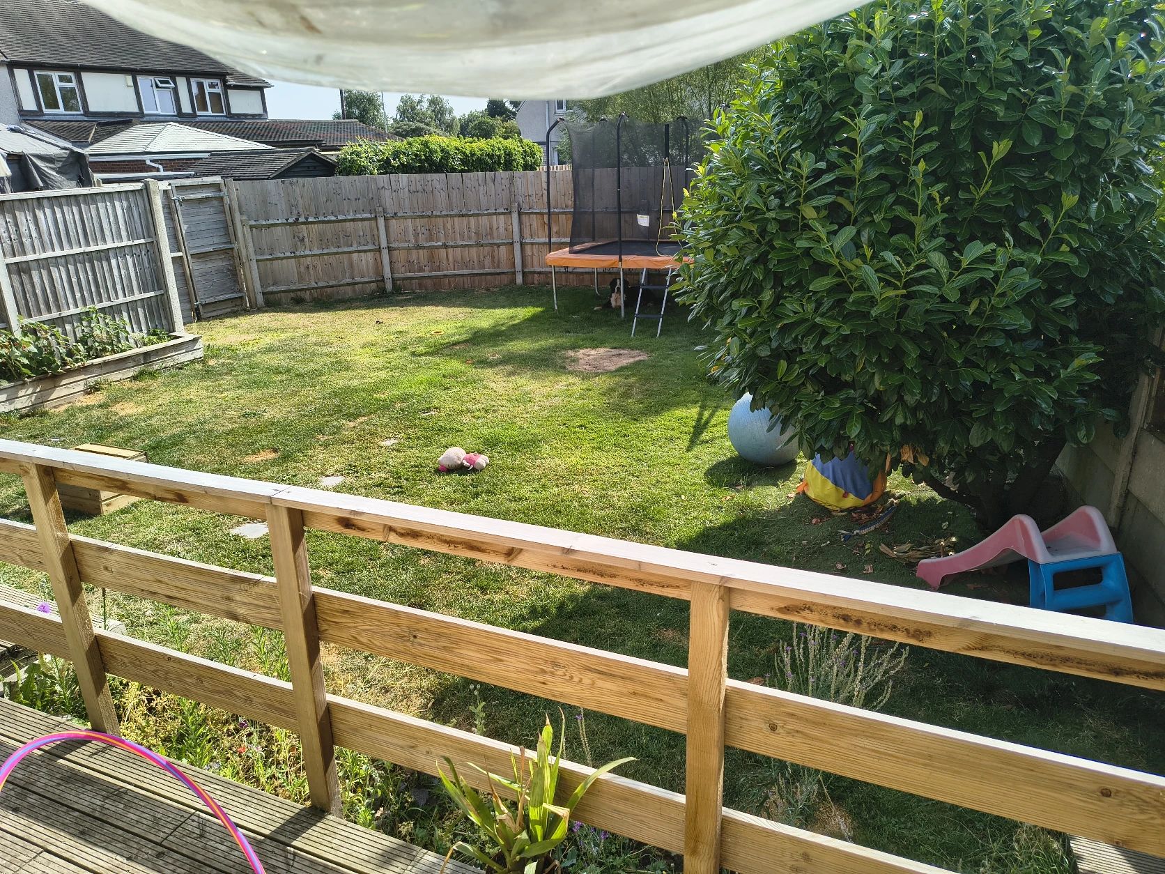 image-8