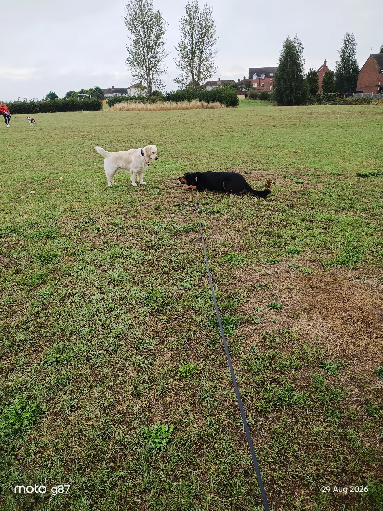 image-48