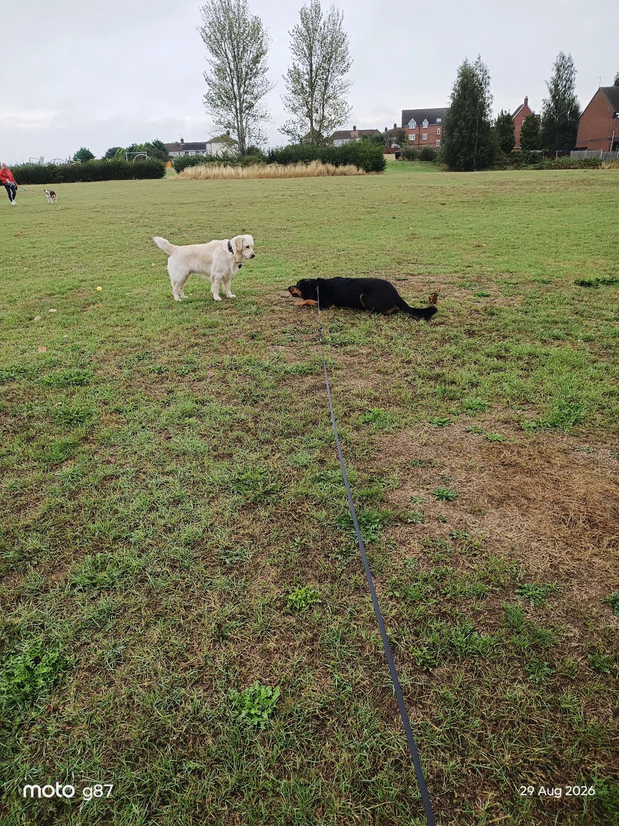 image-48