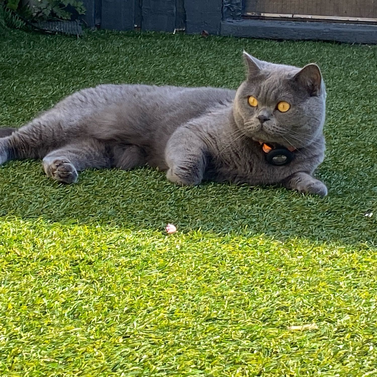 Casper
