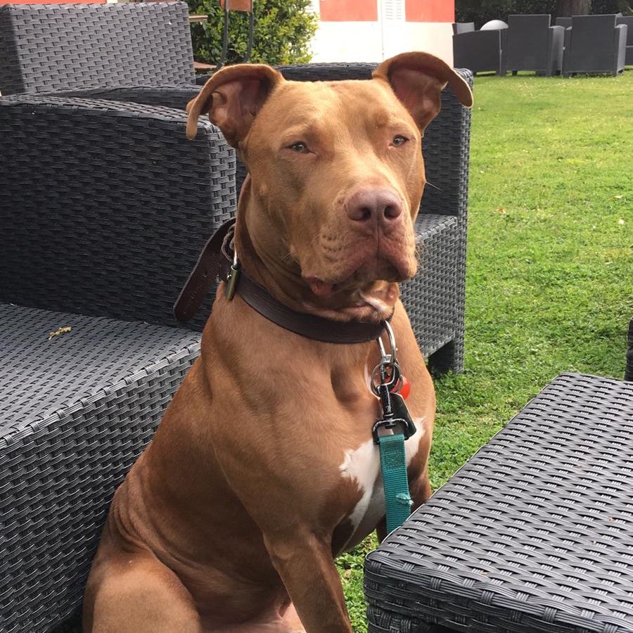 Ares
