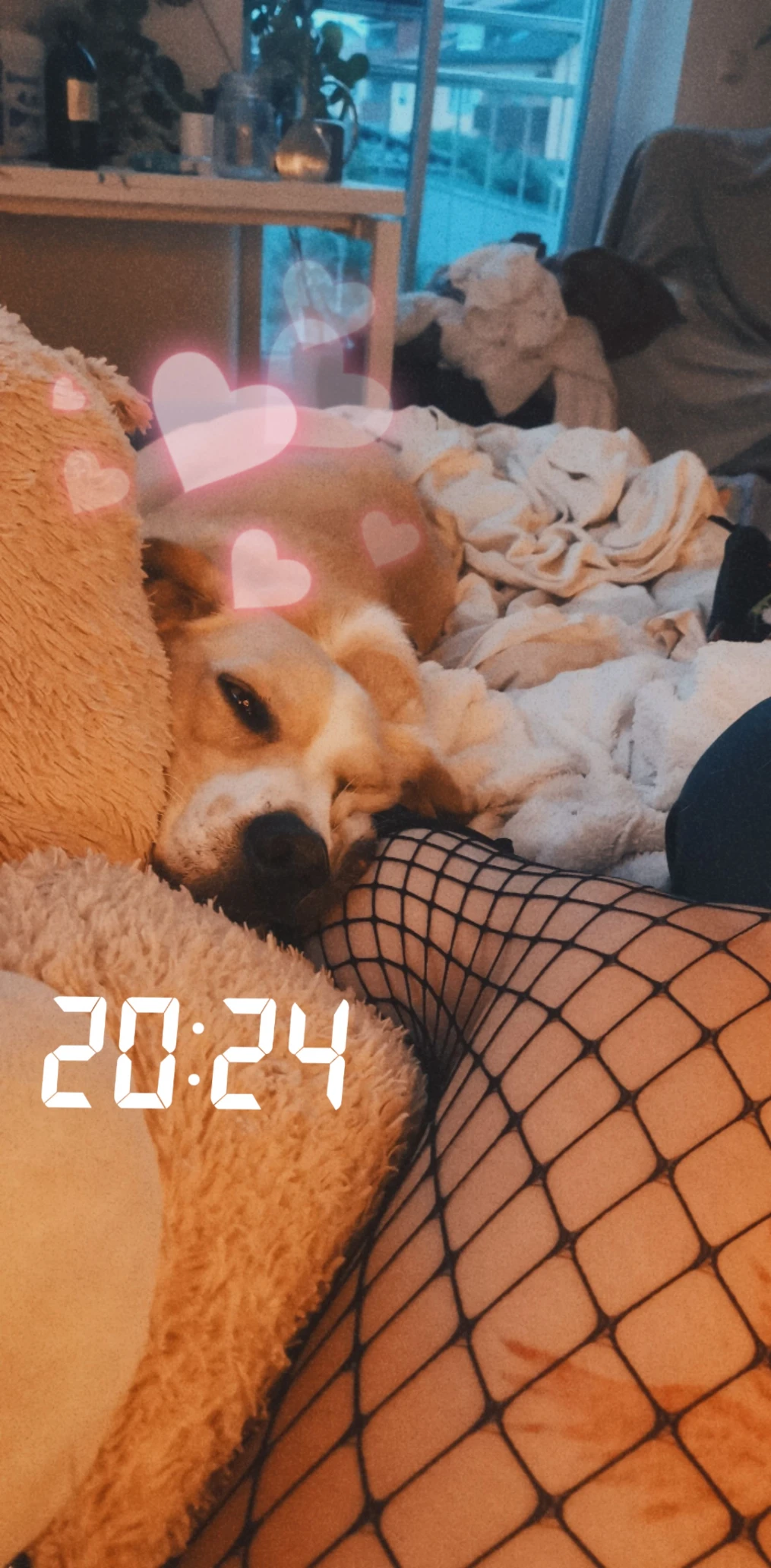 image-4
