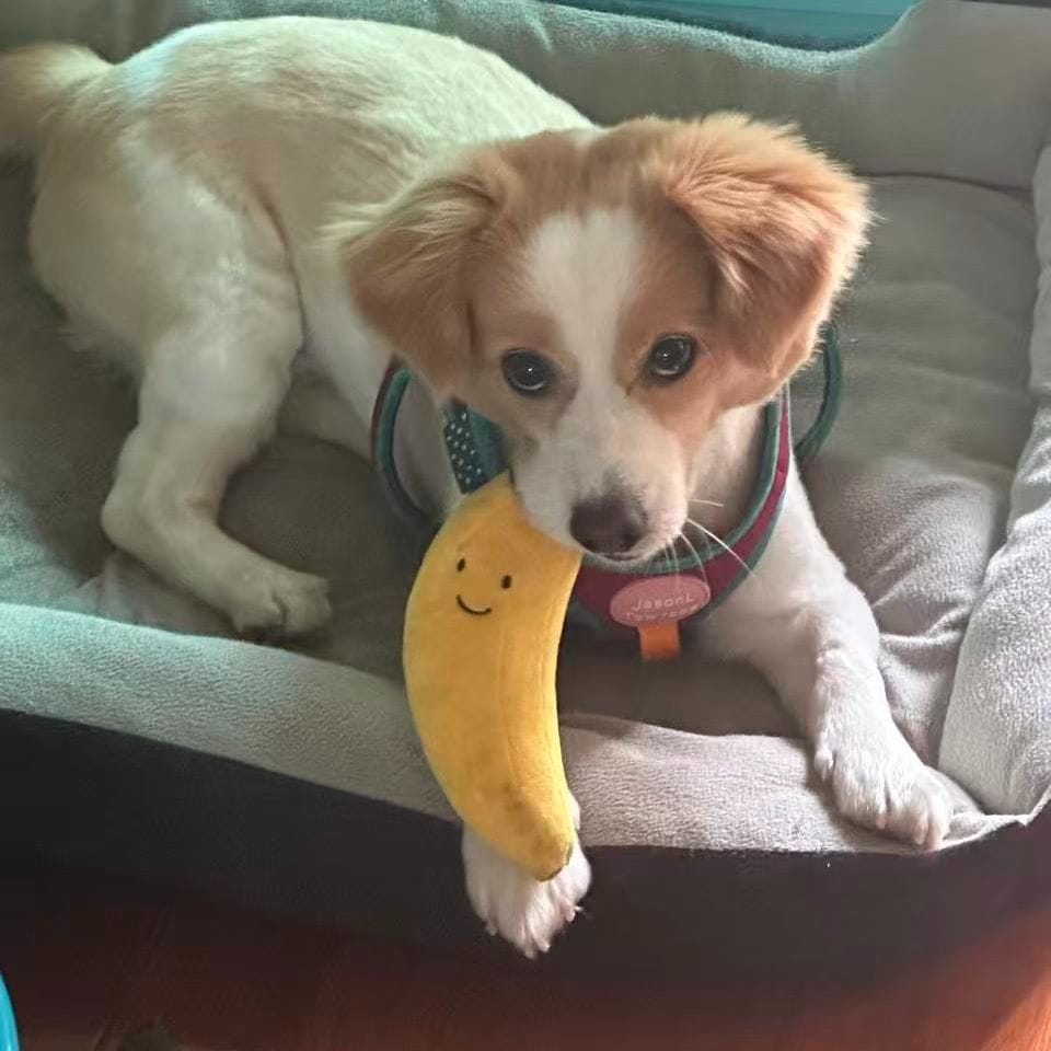 Four