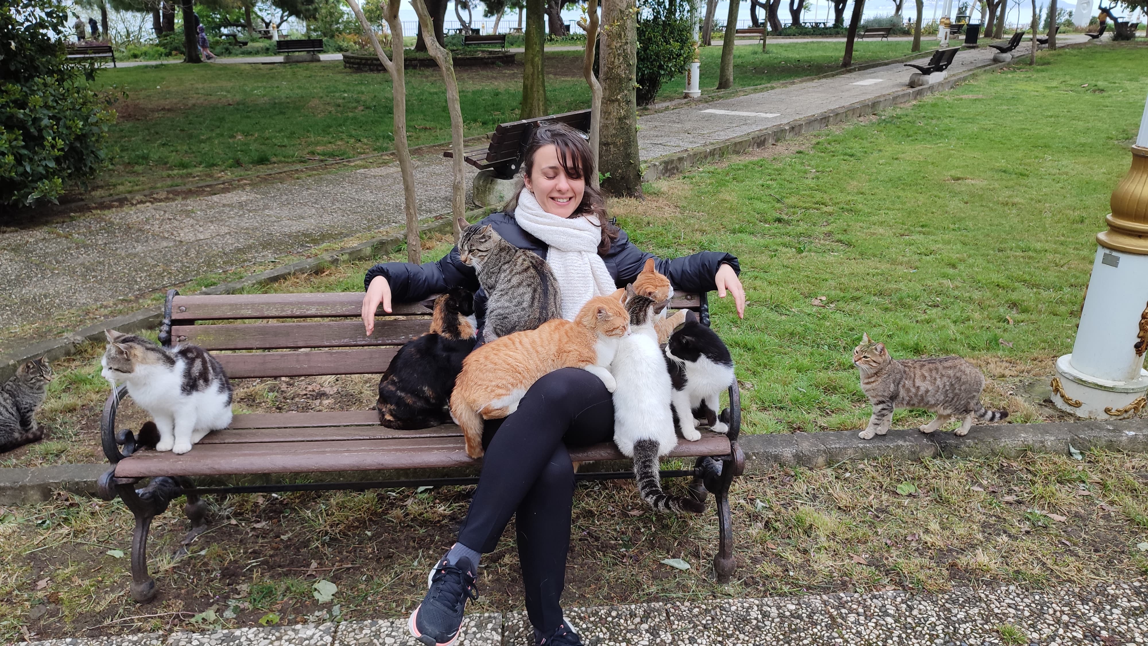 image-4