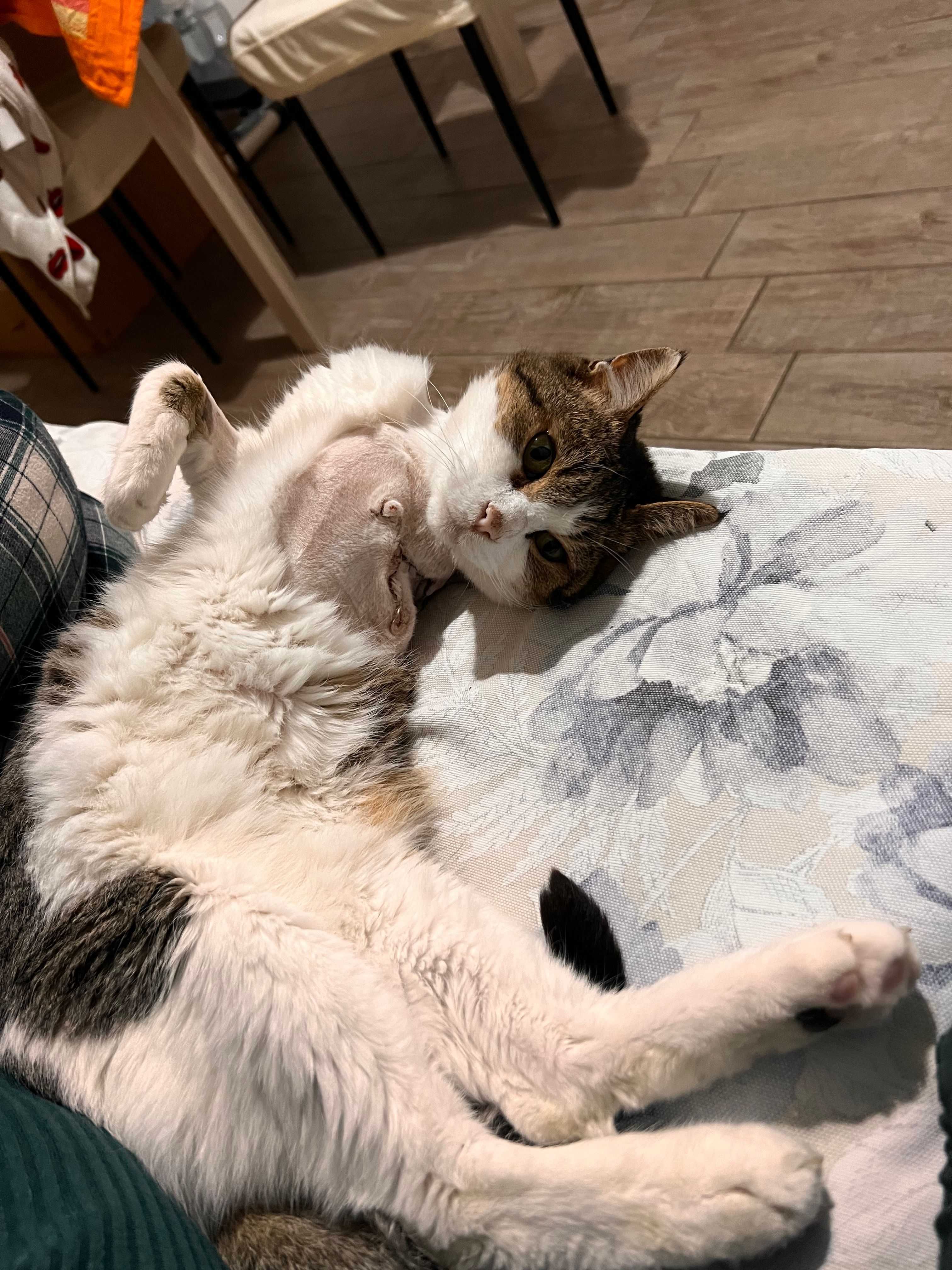 image-6