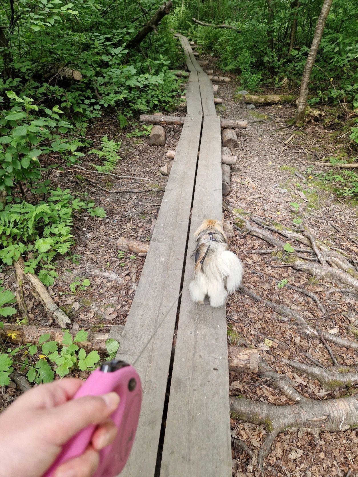 image-5