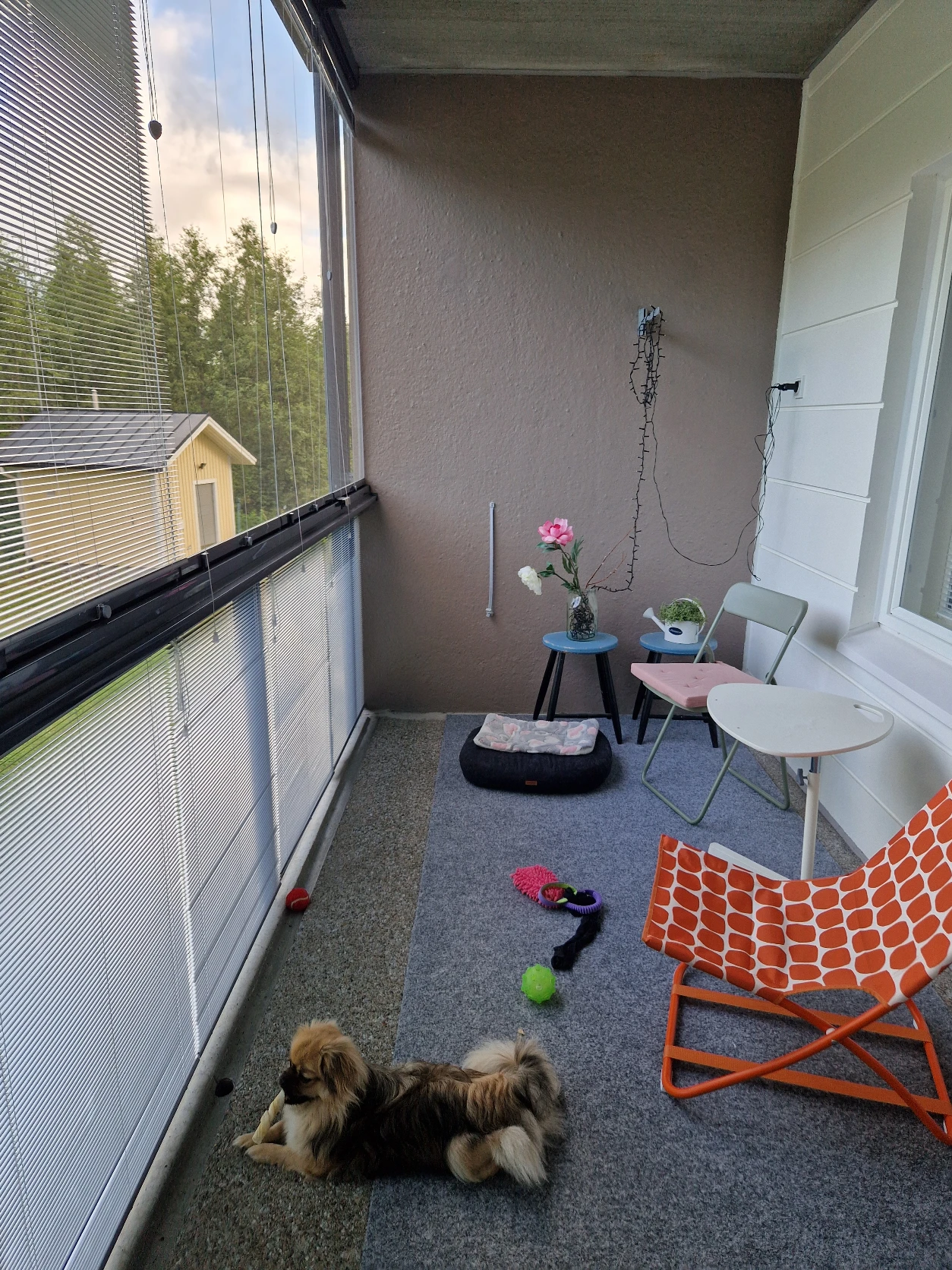 image-9