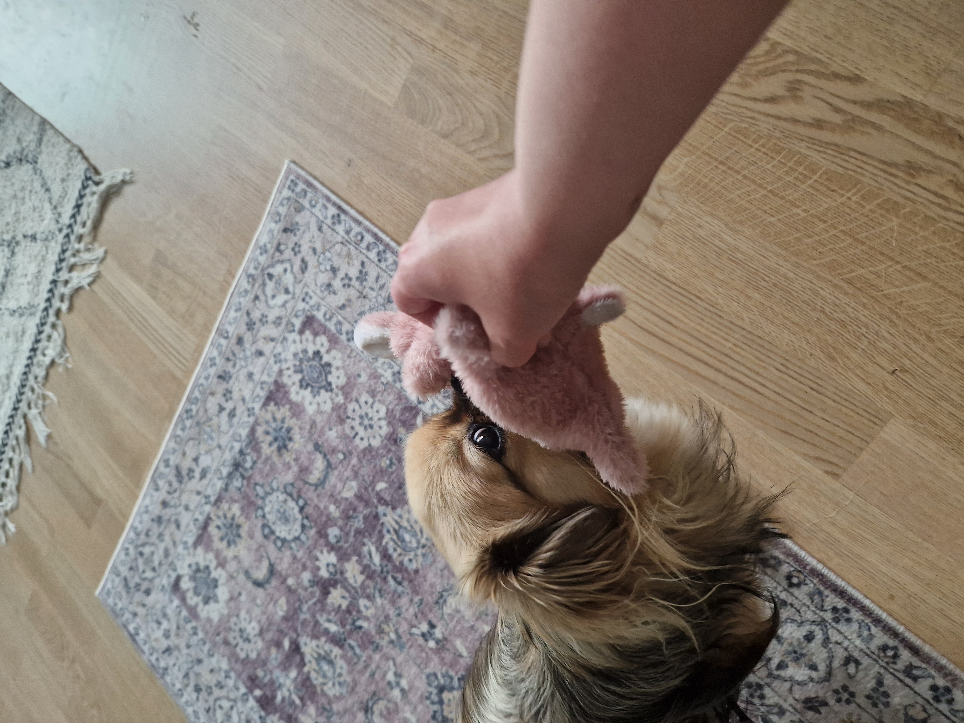 image-6