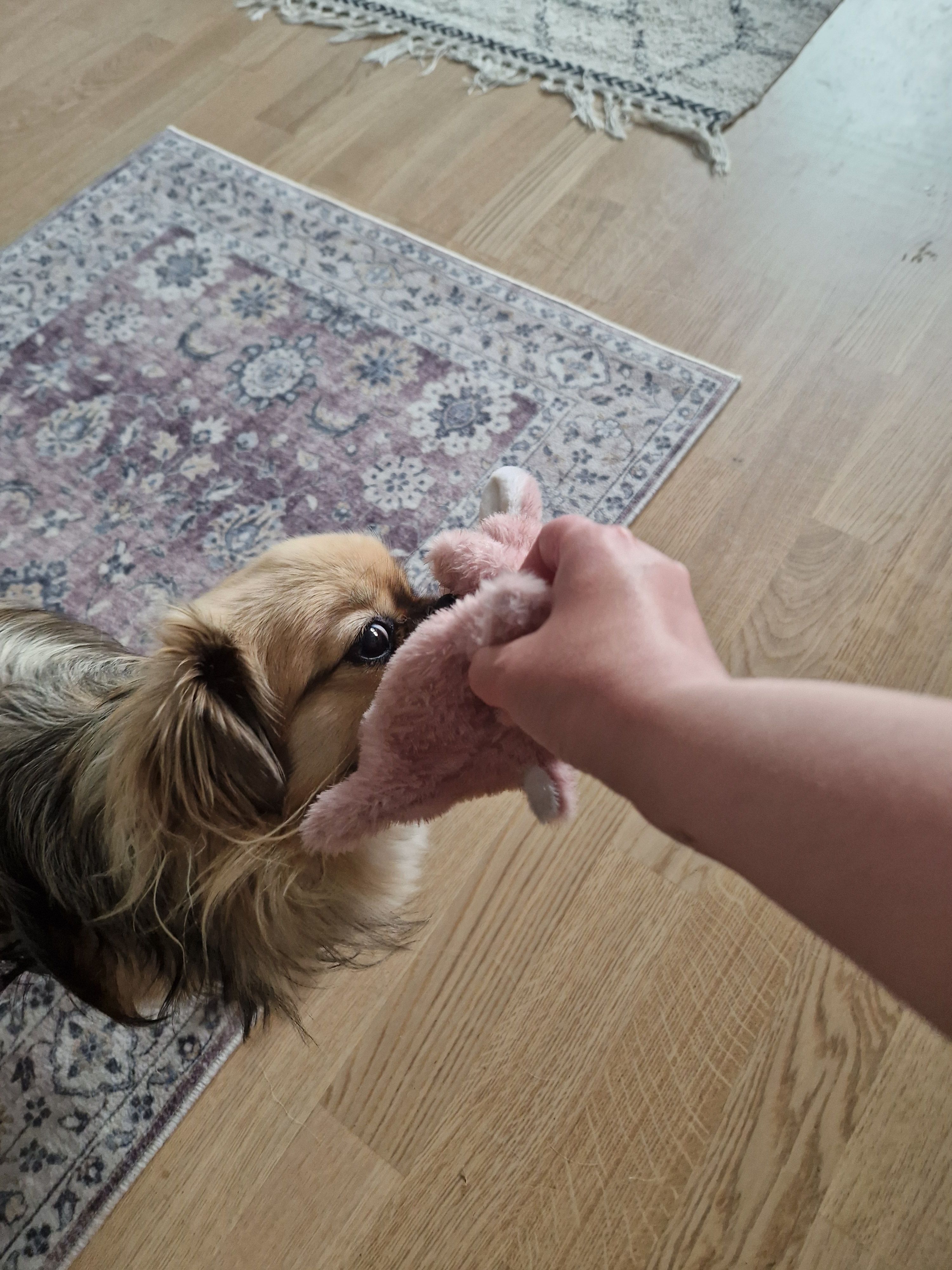 image-6
