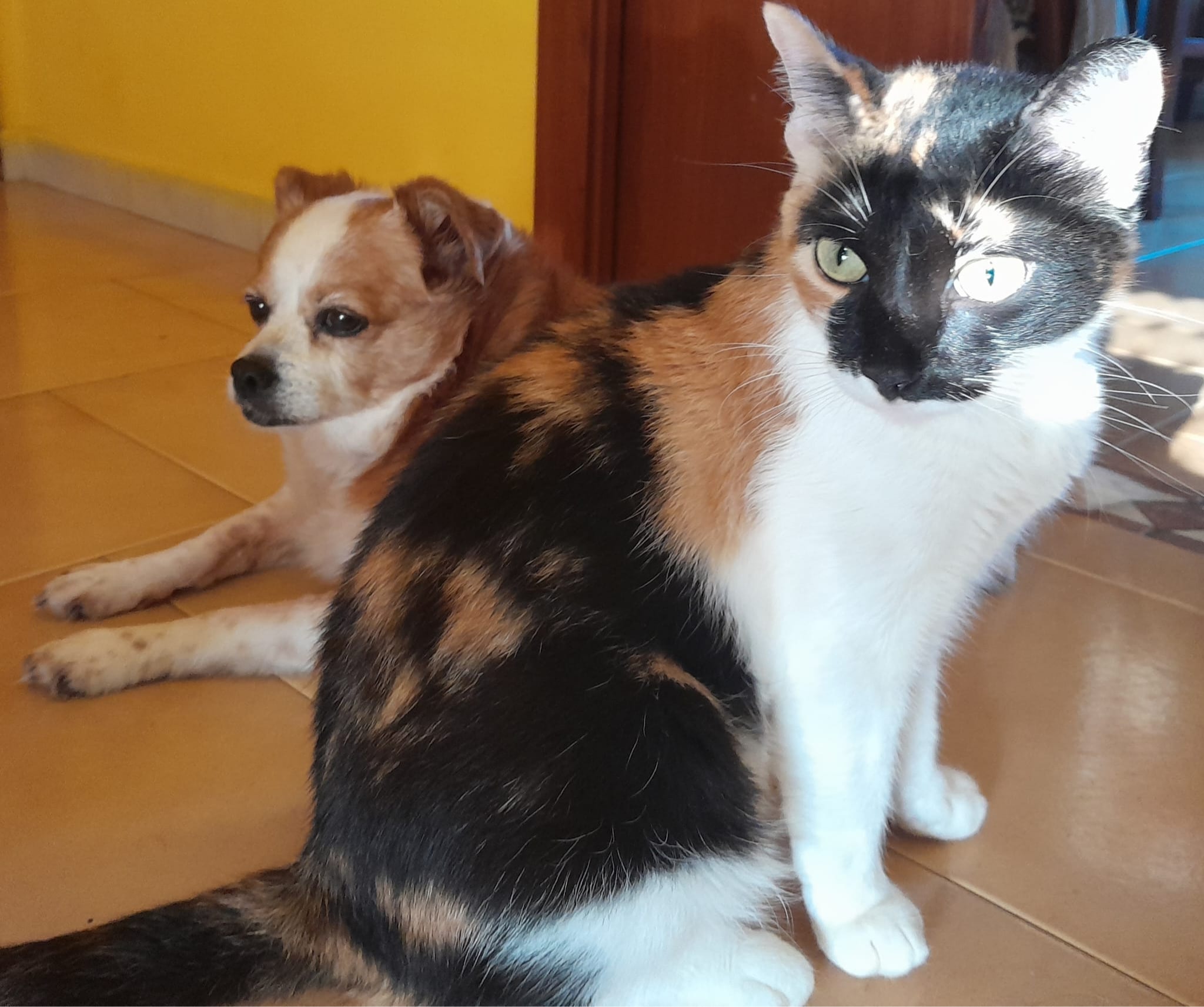 image-5