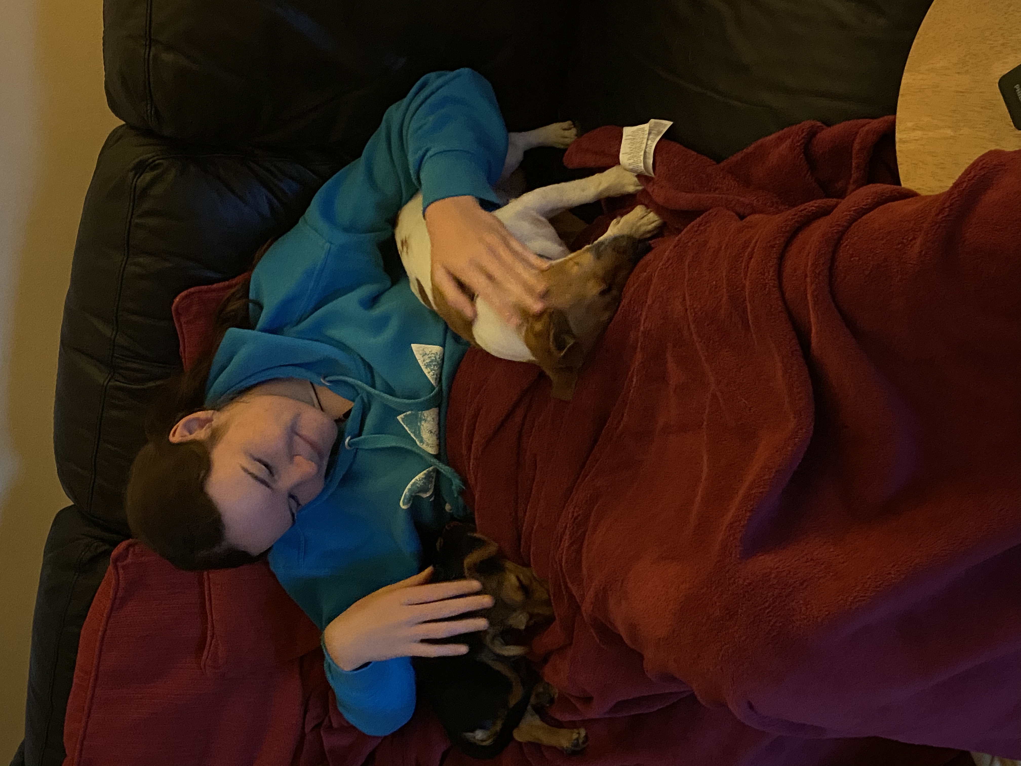 image-7