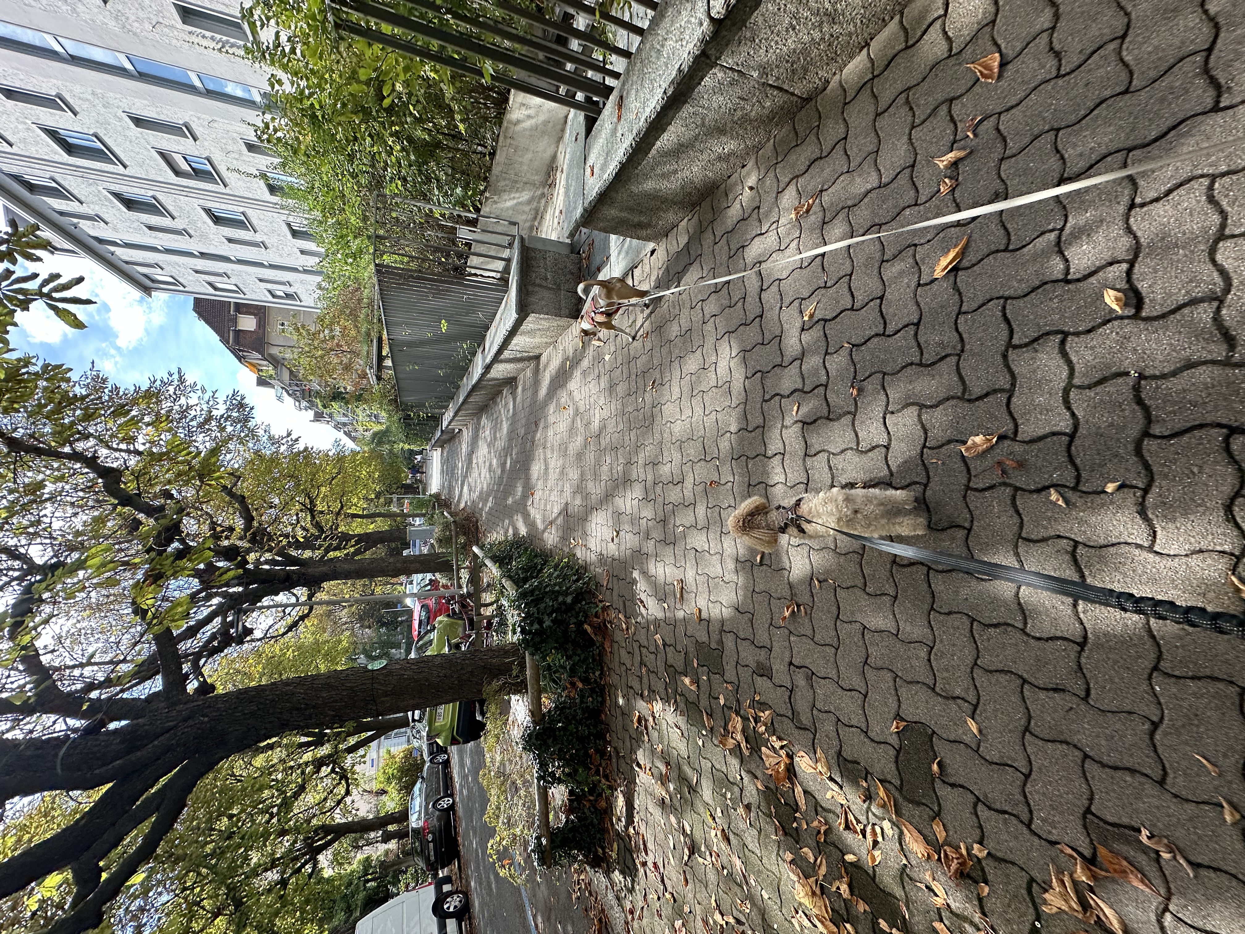 image-14