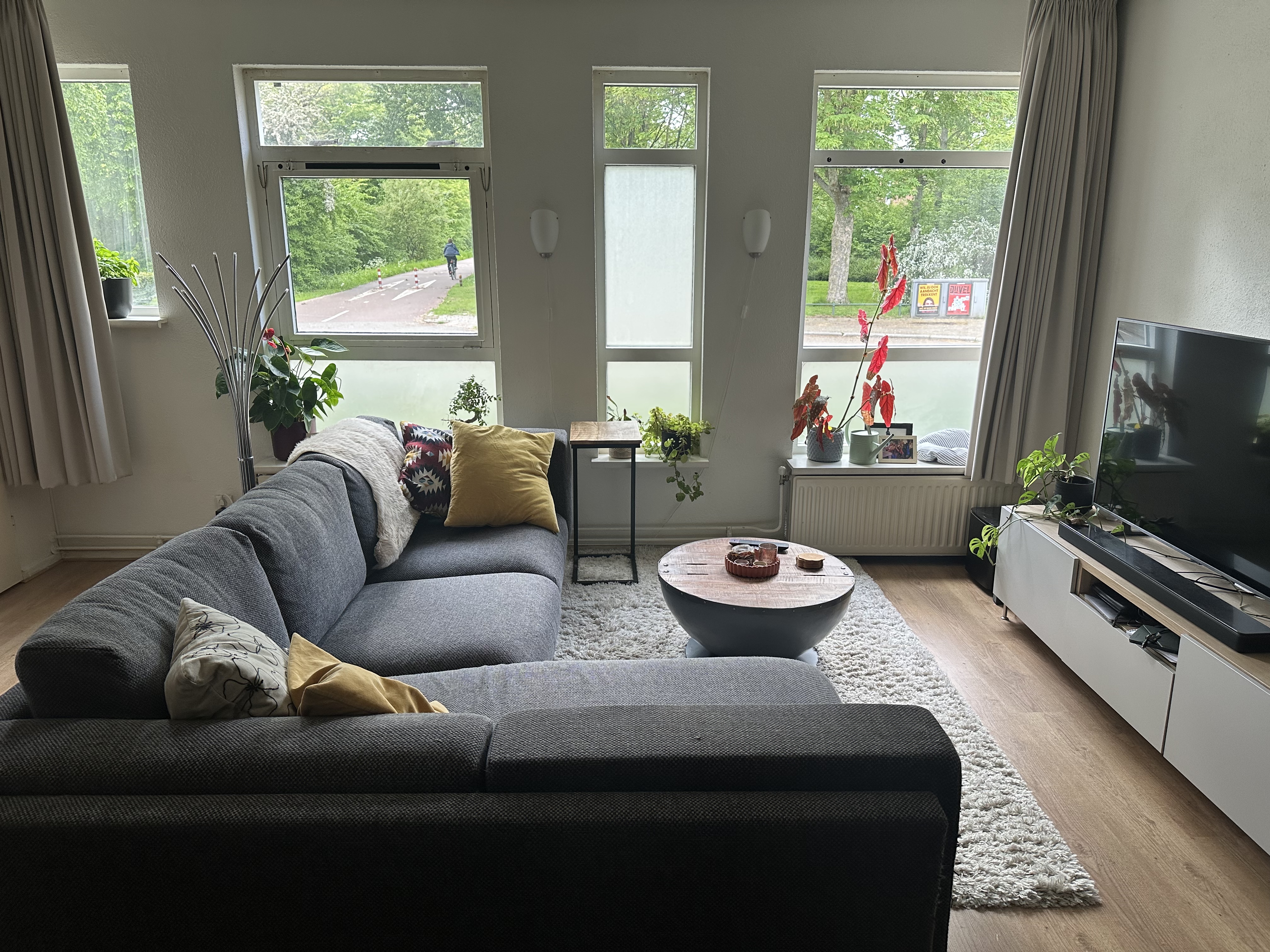 image-12