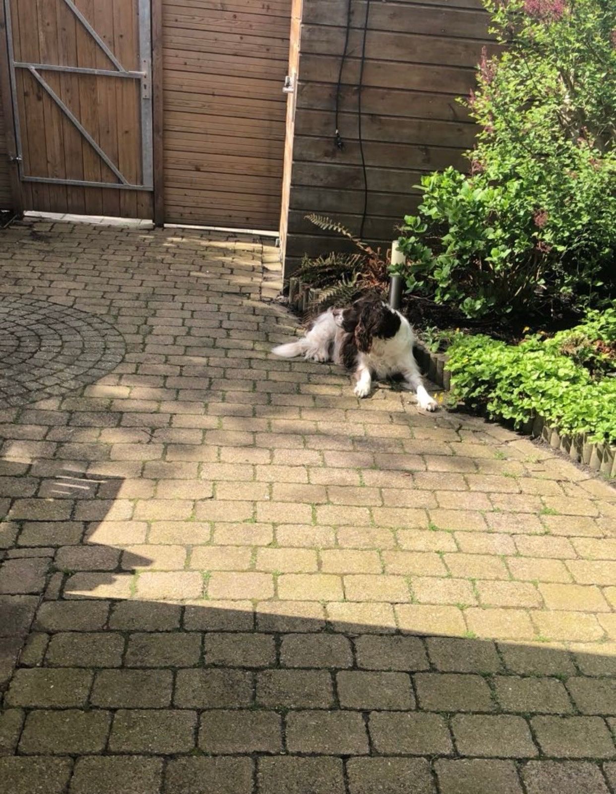 image-11