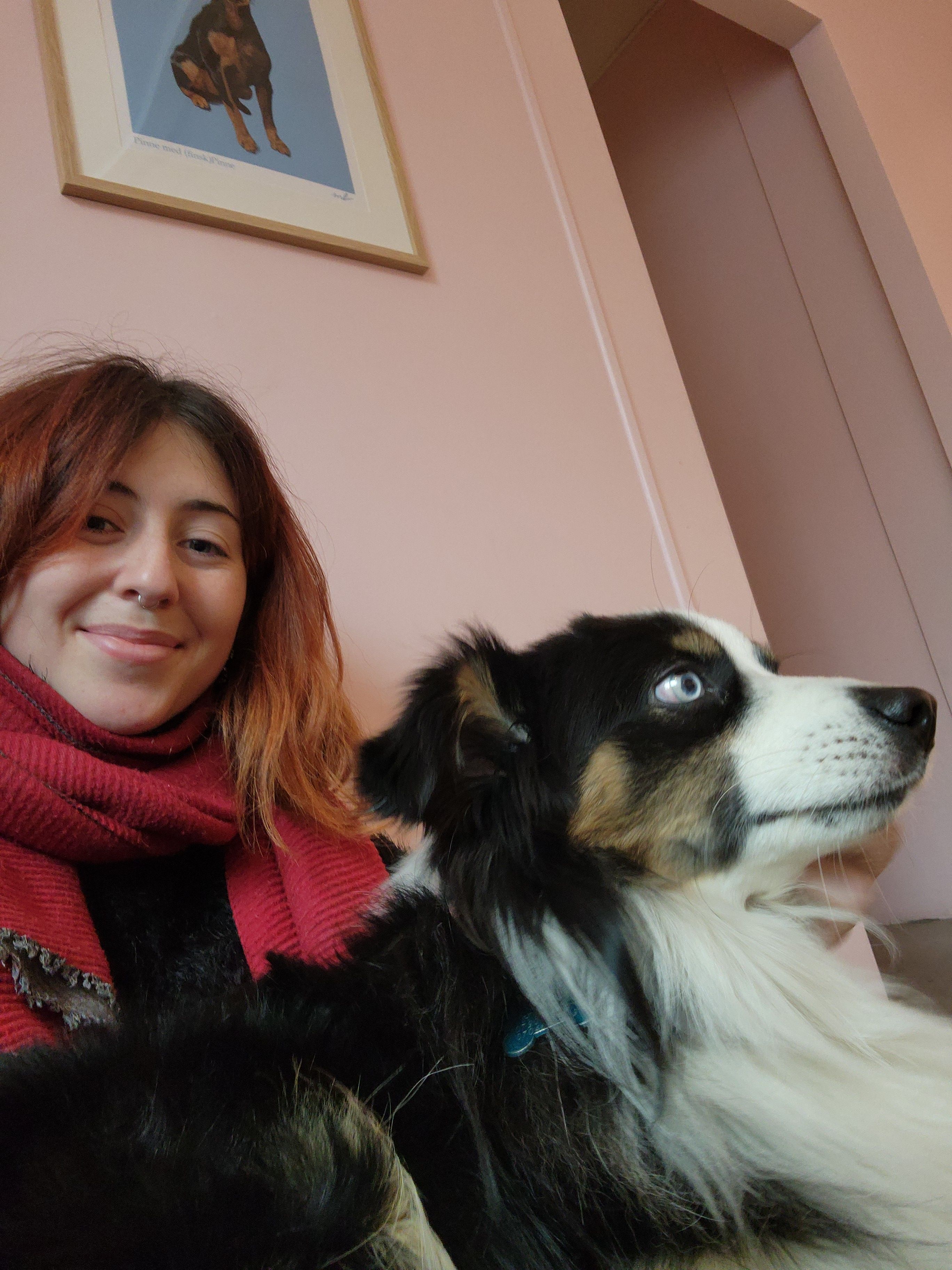 image-6