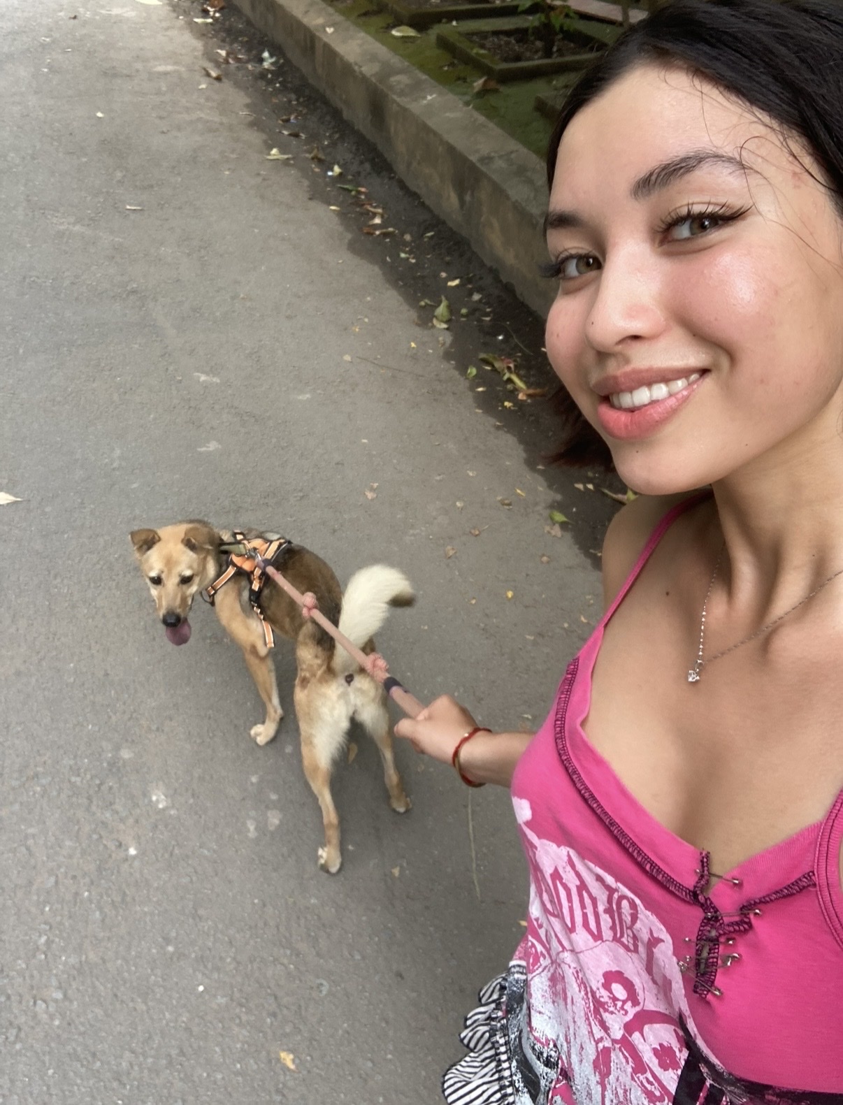 image-11