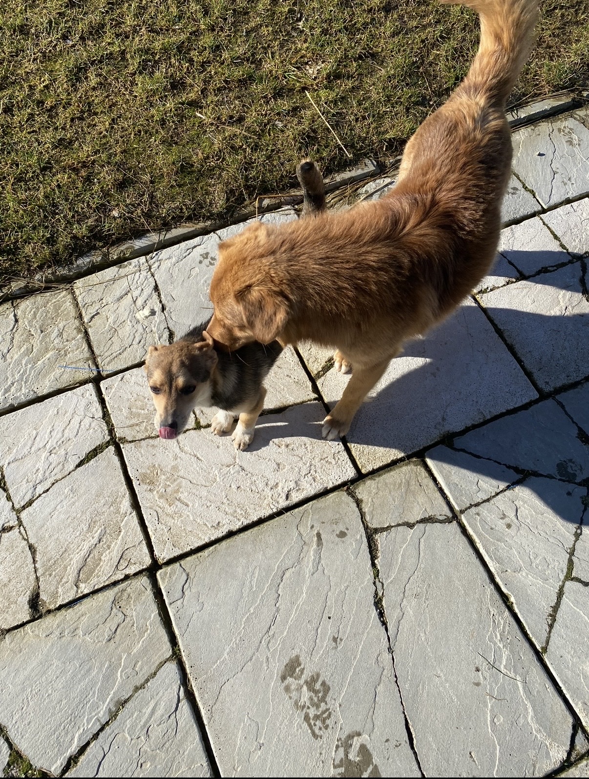 image-15