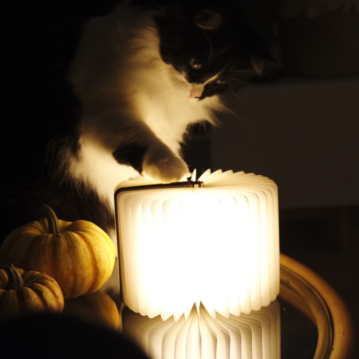 Milie