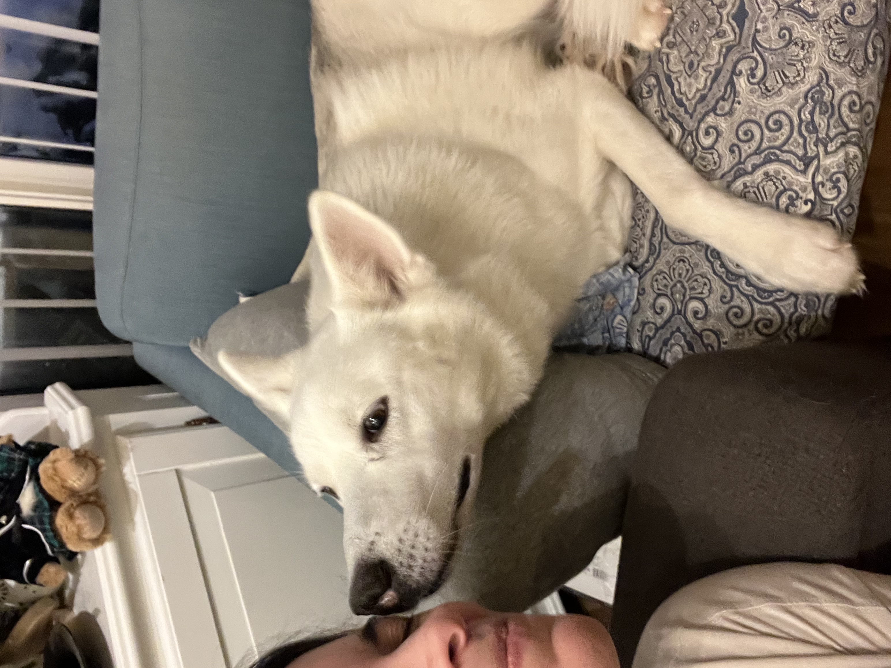 image-12