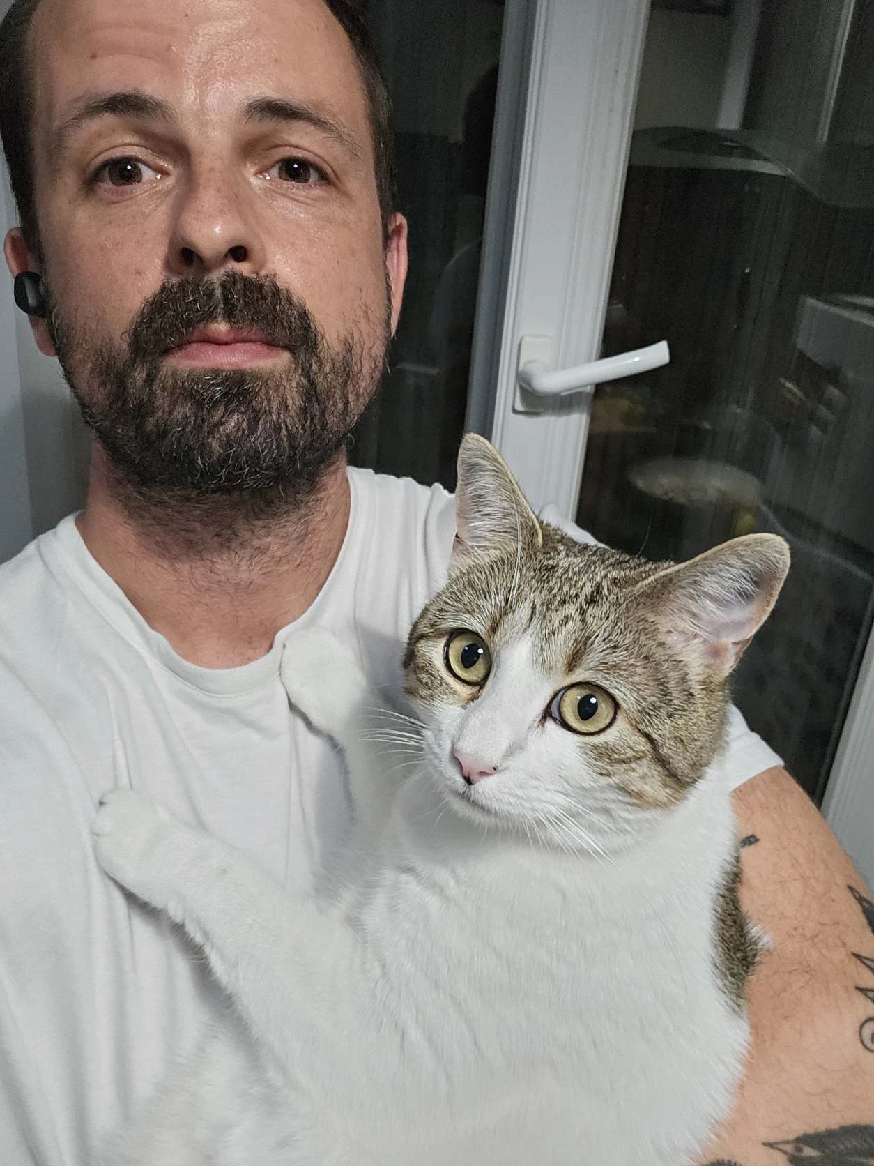 image-8