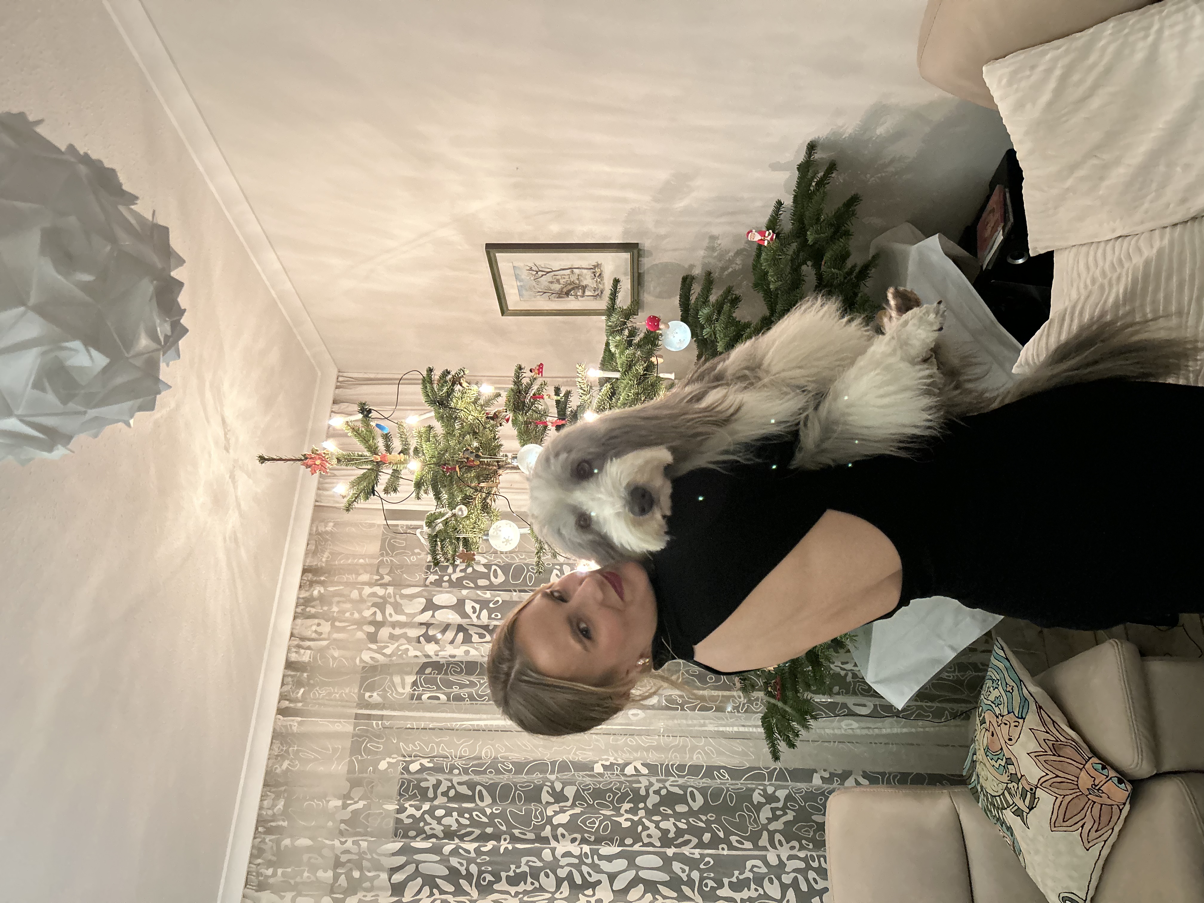 image-5