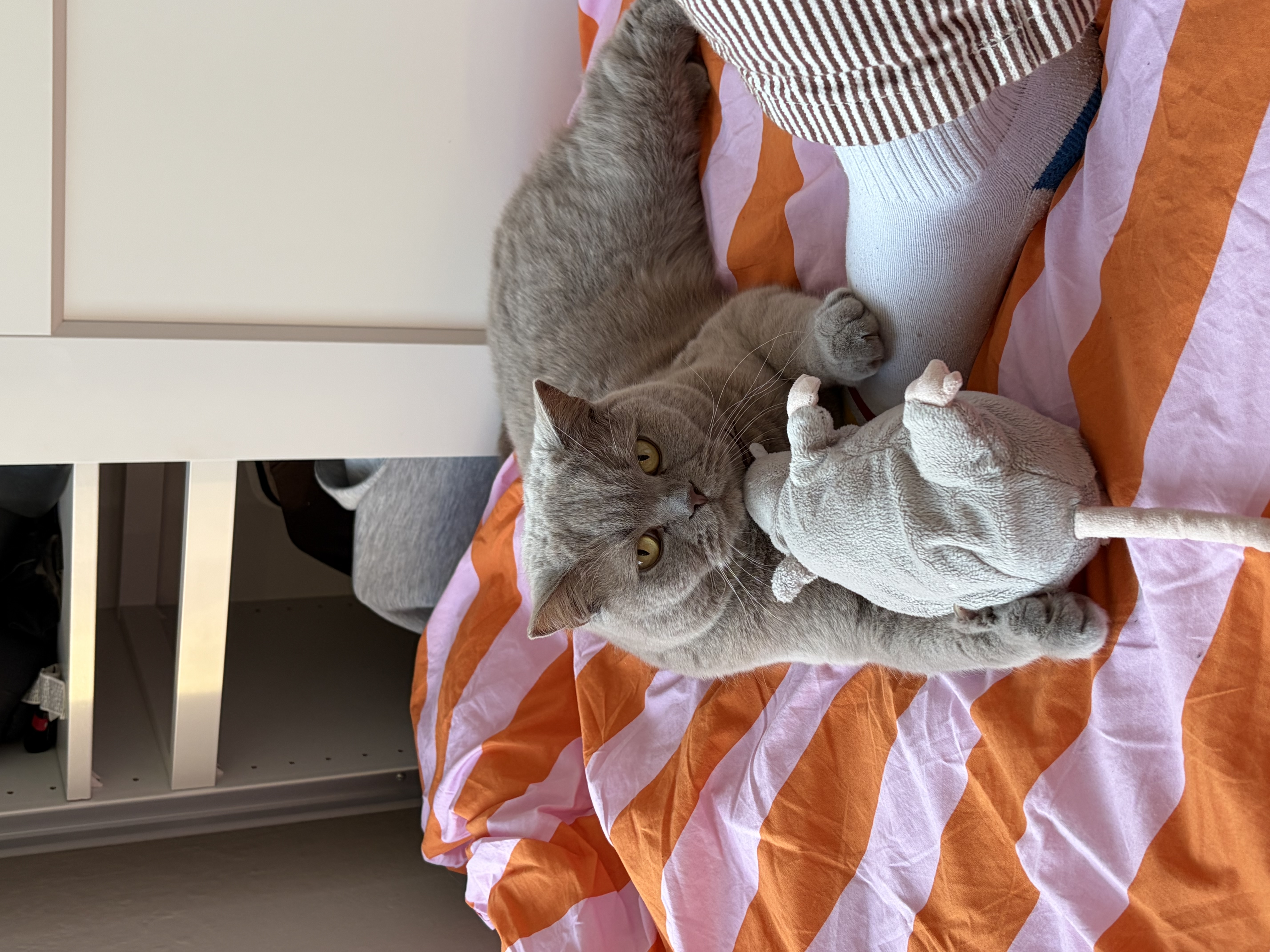 image-16