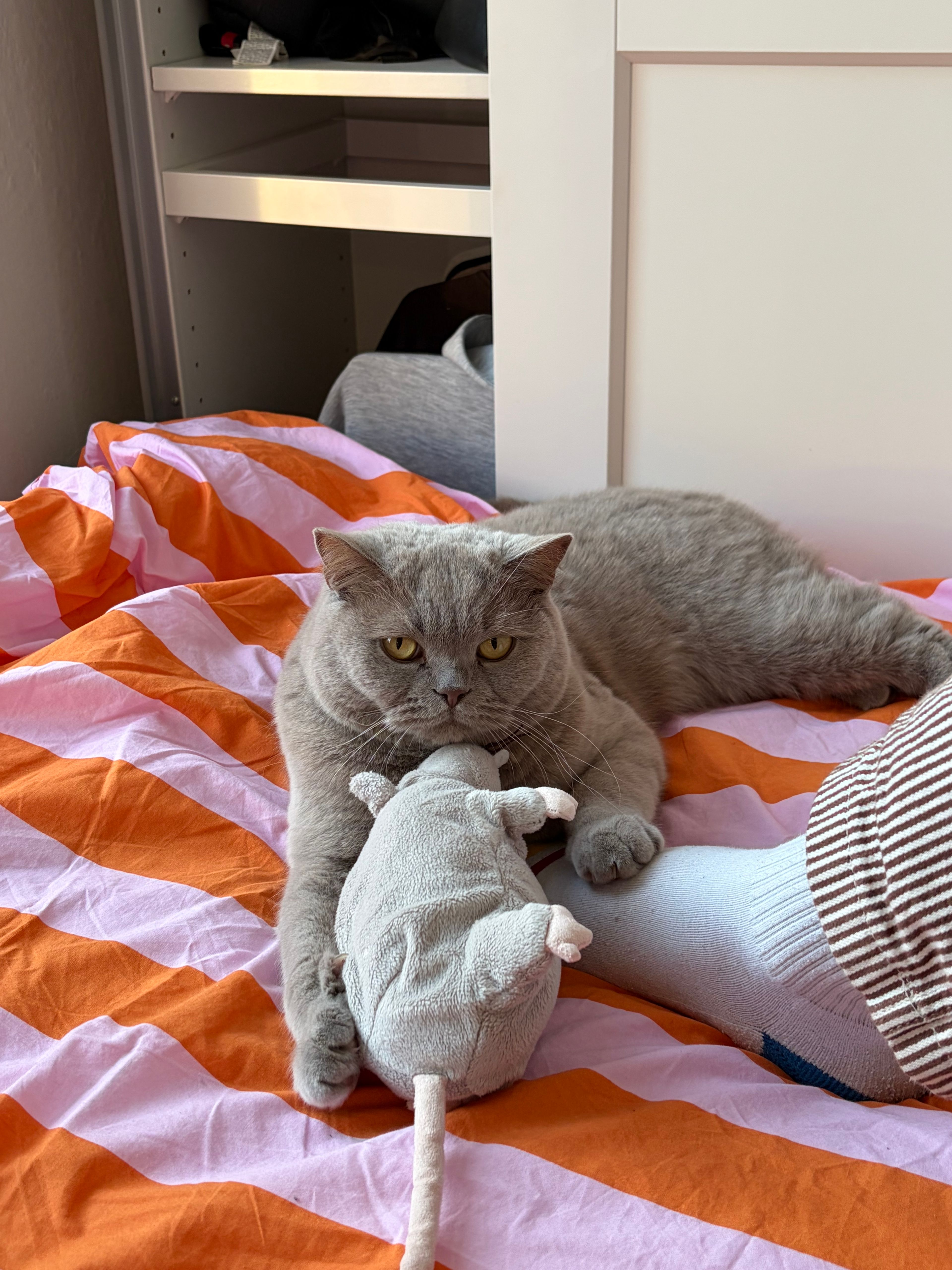 image-16
