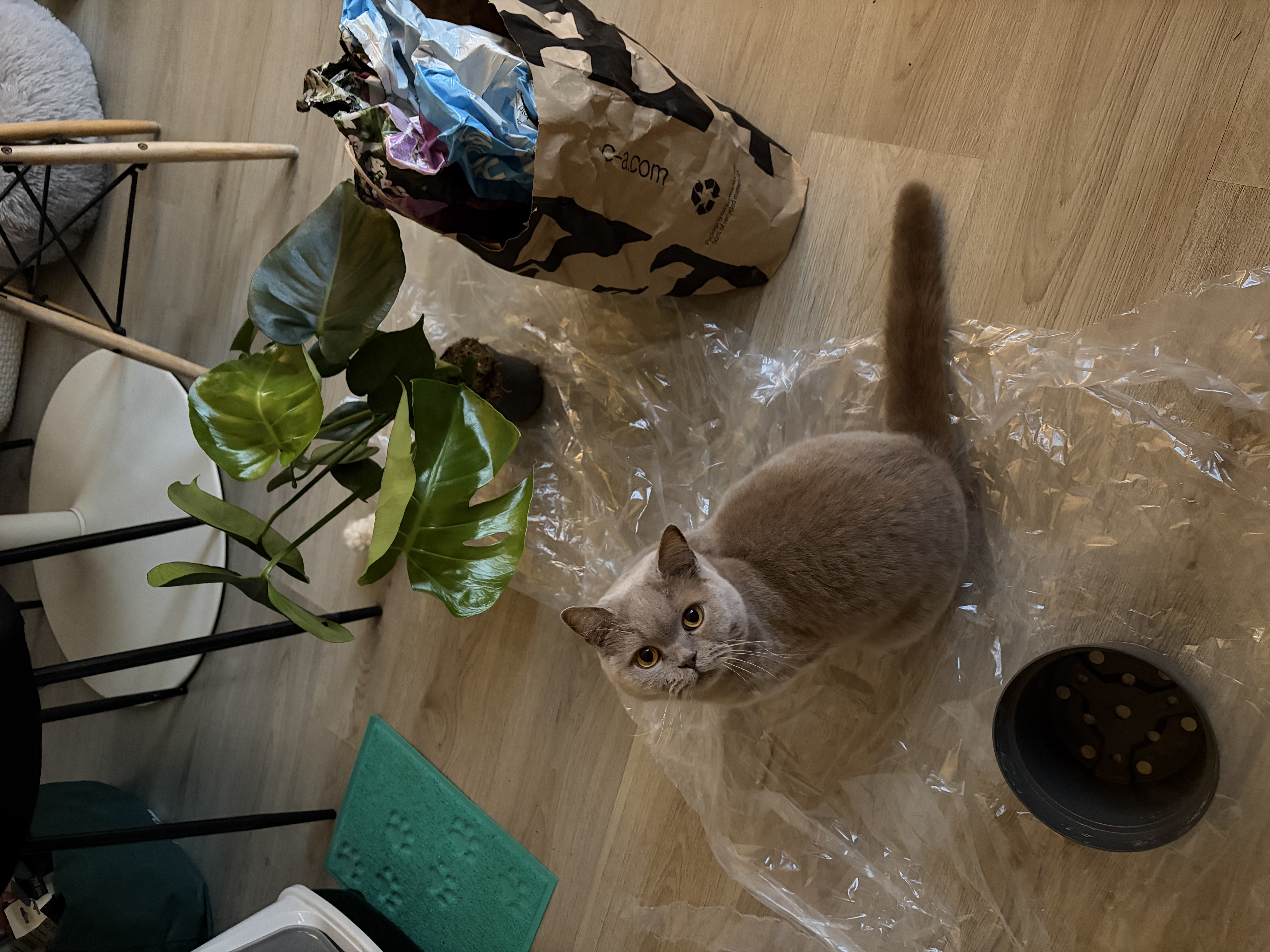 image-18