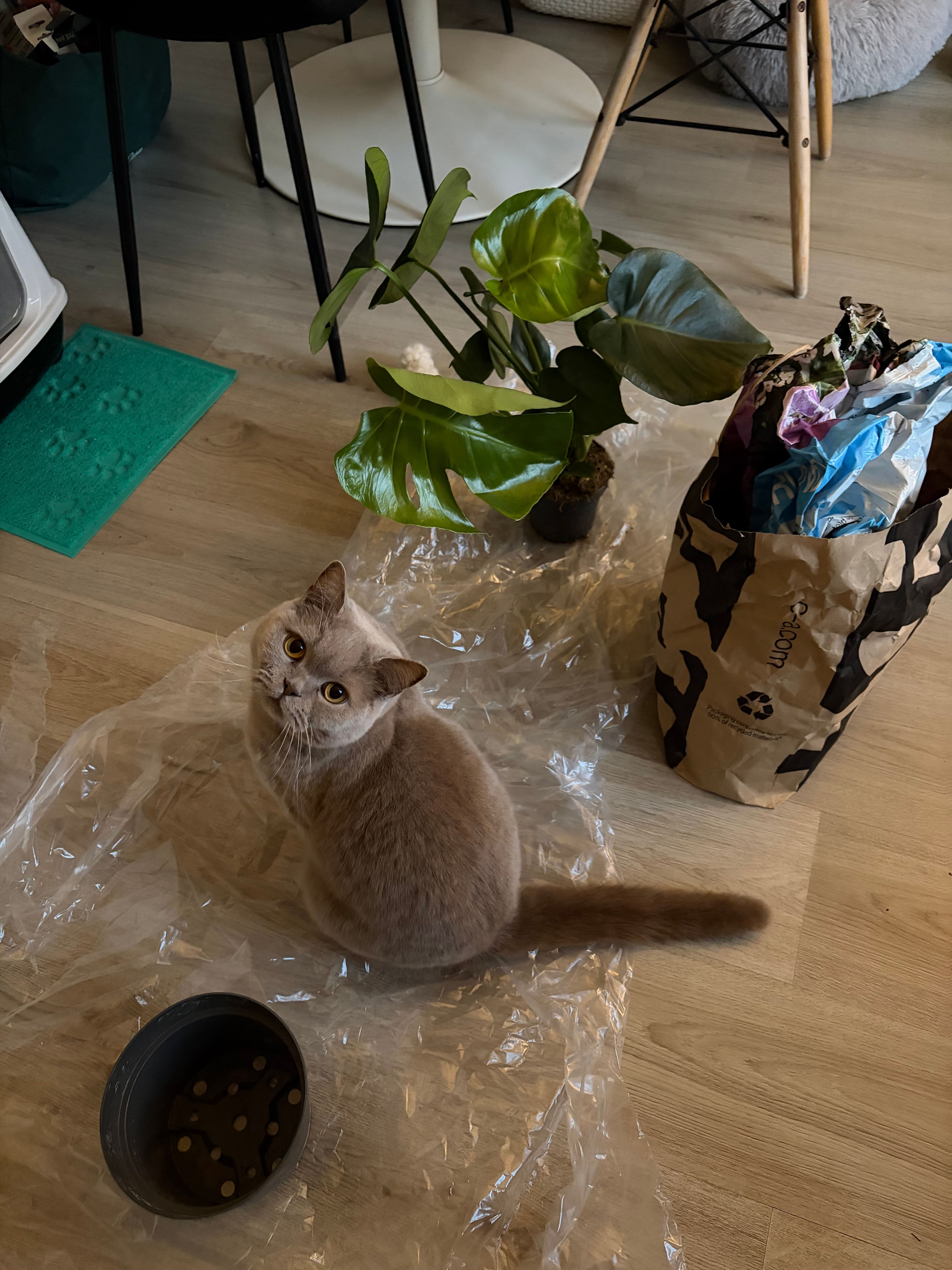 image-18