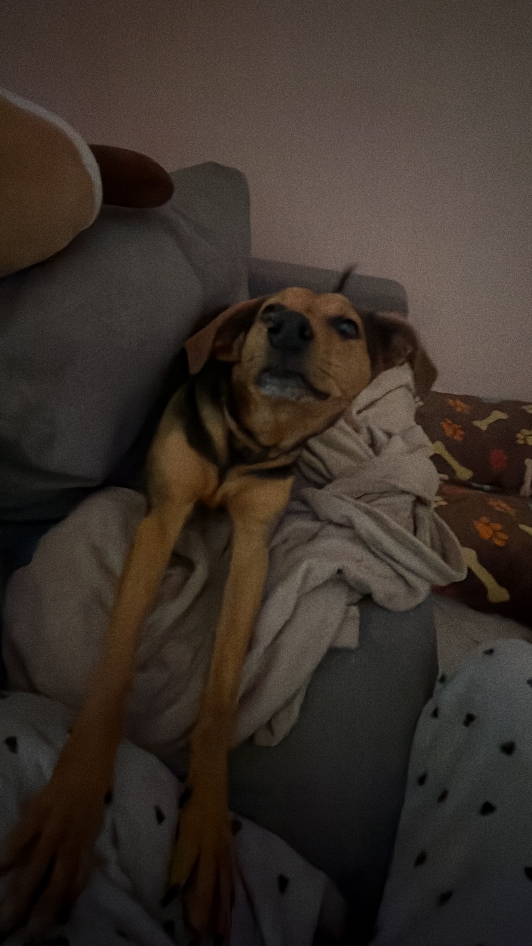 image-9