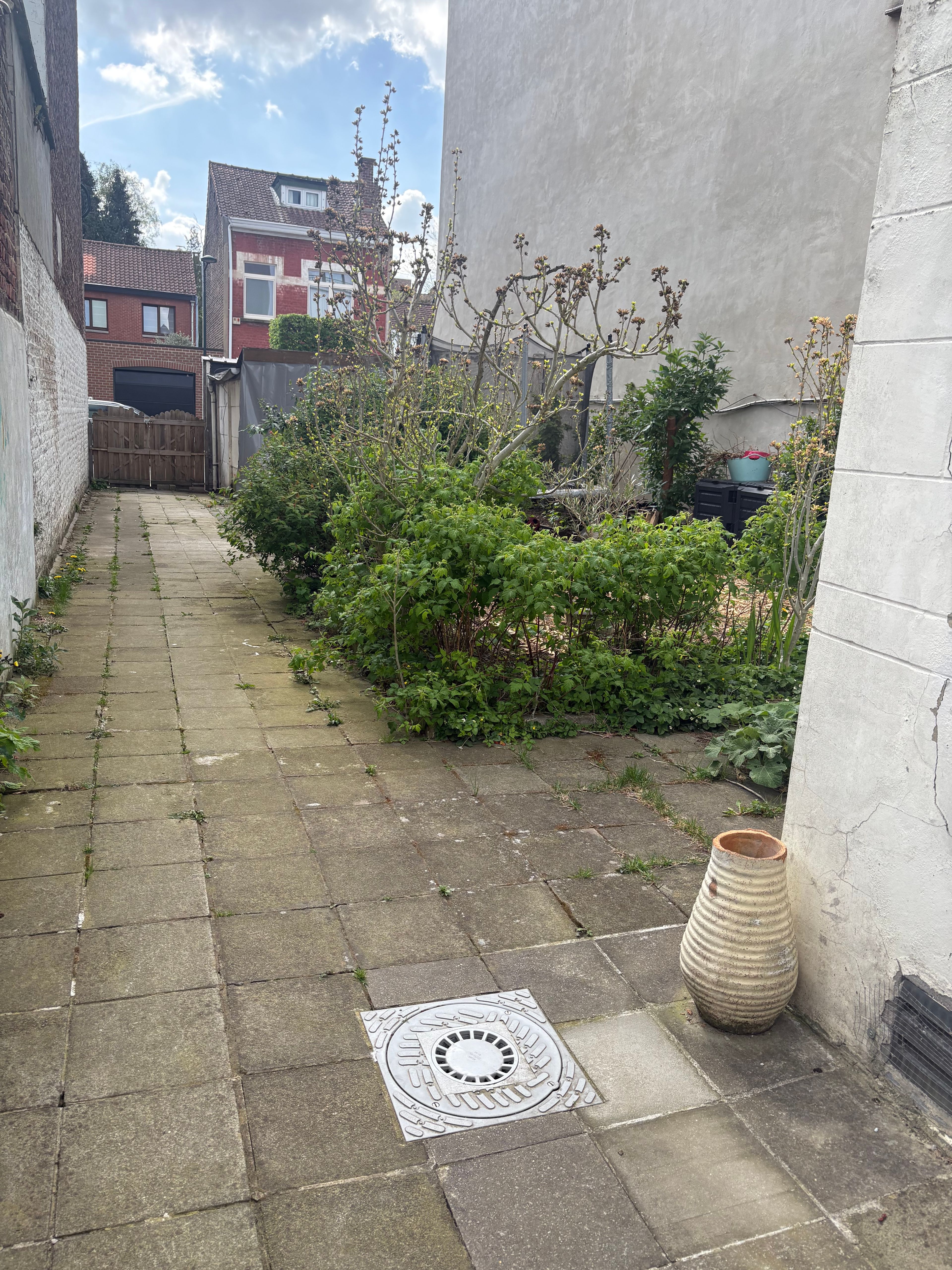 image-18
