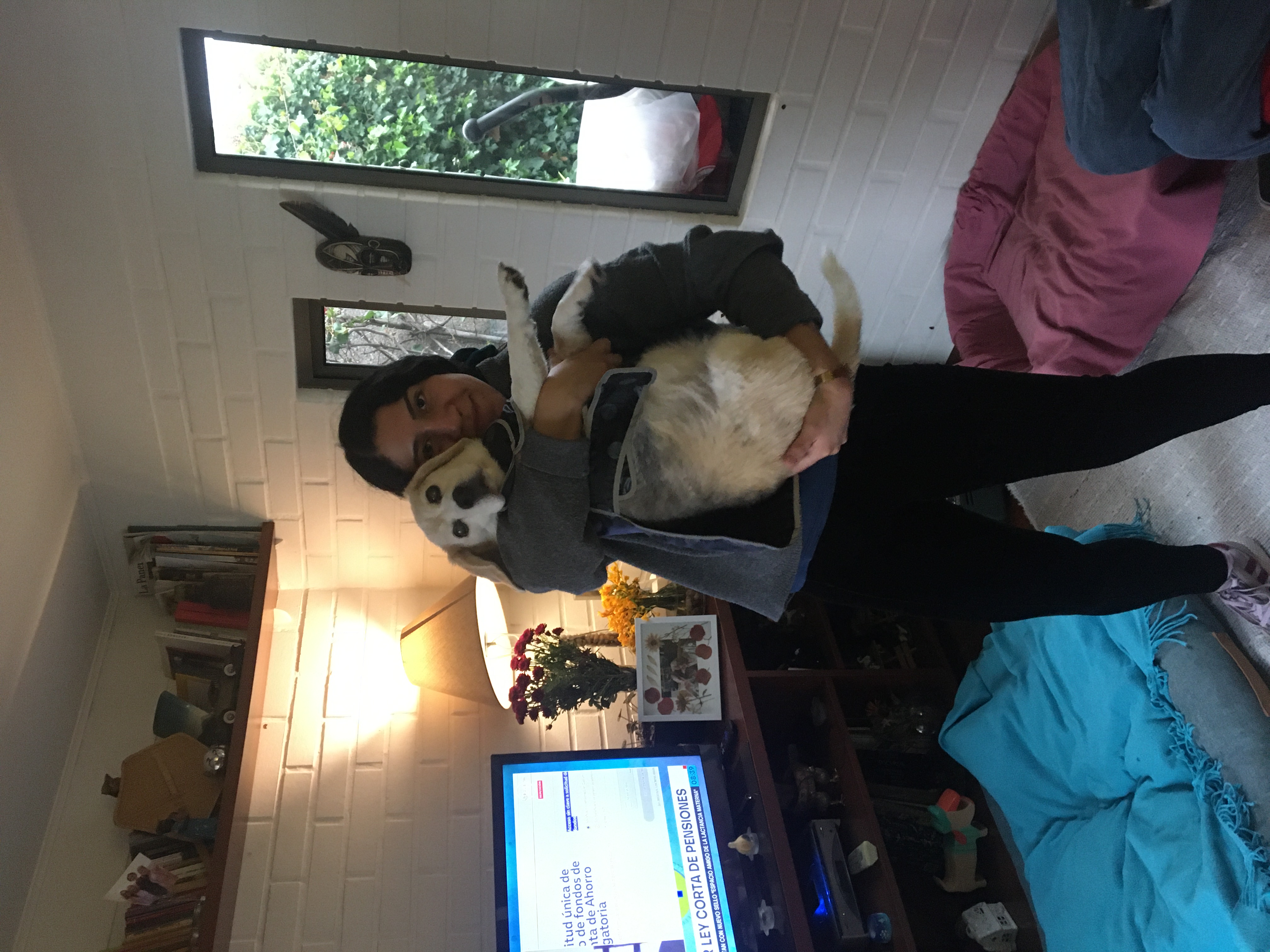 image-4