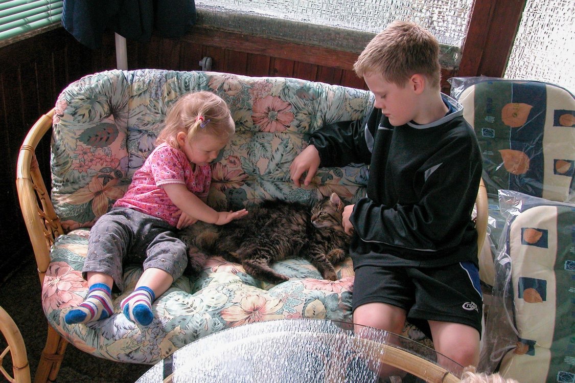 image-5