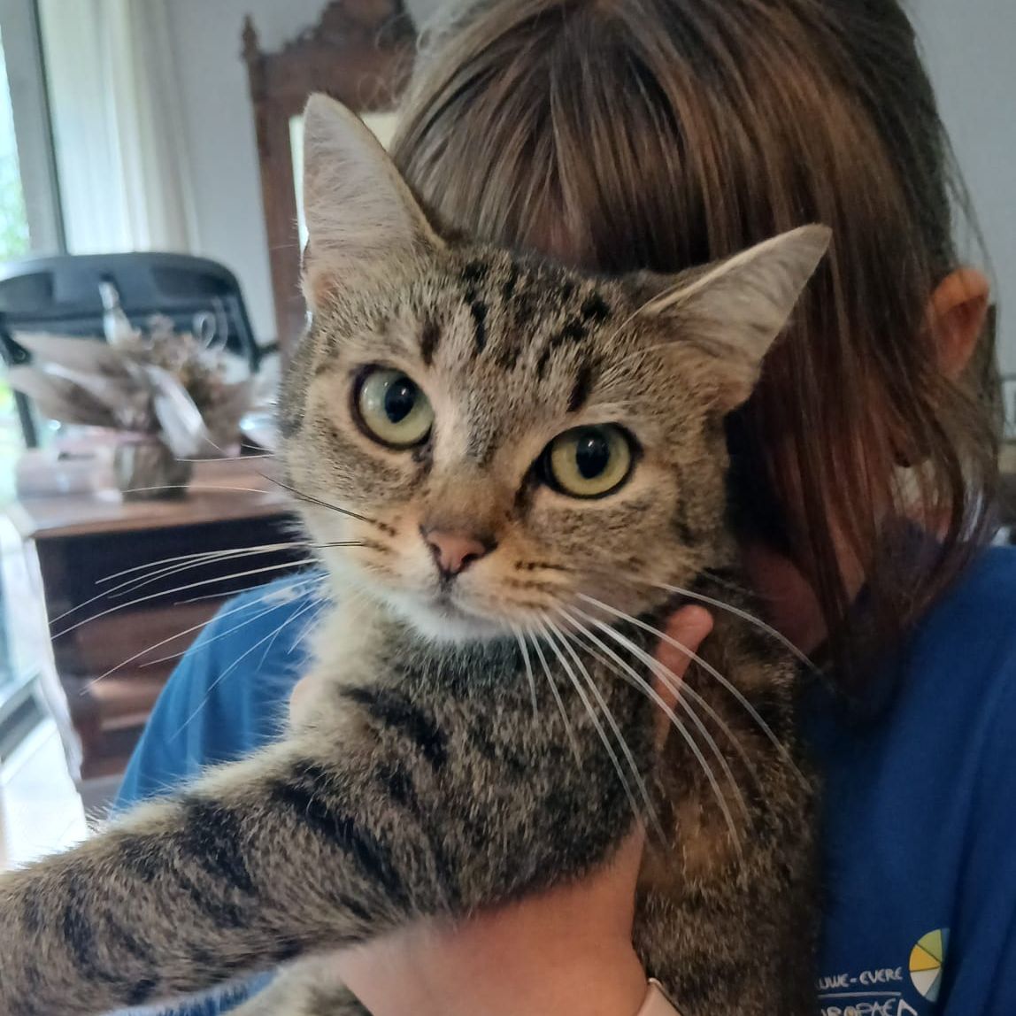 Mimi