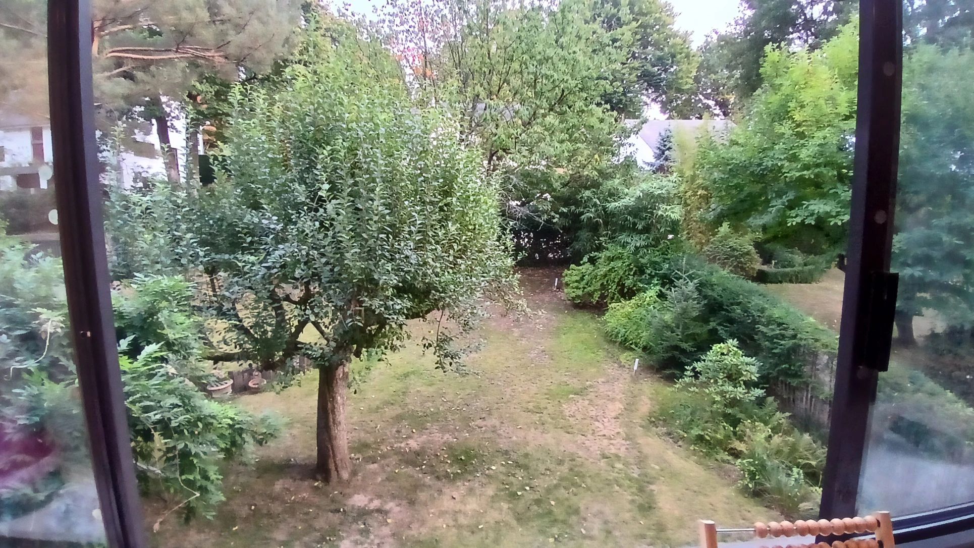 image-18