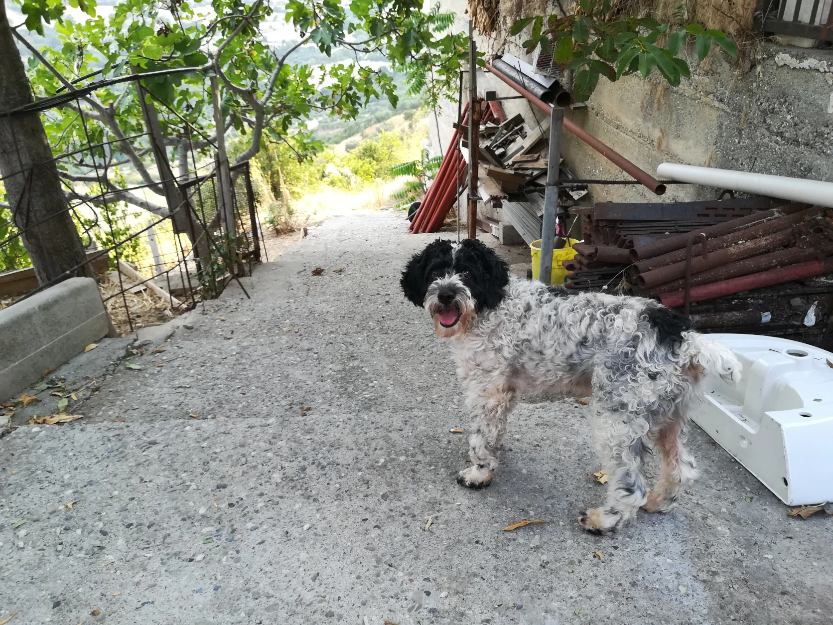 image-5