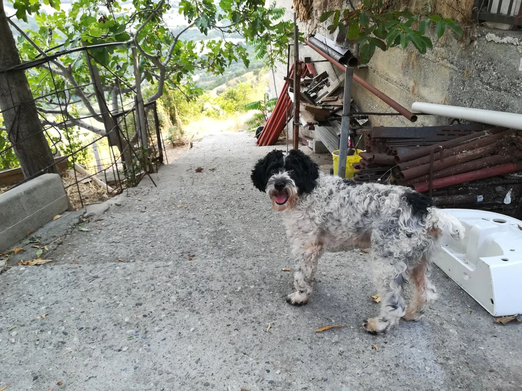 image-5