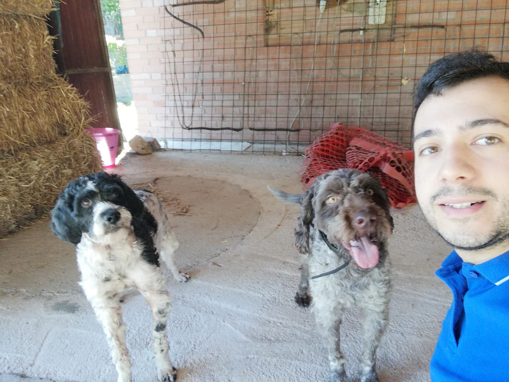image-0