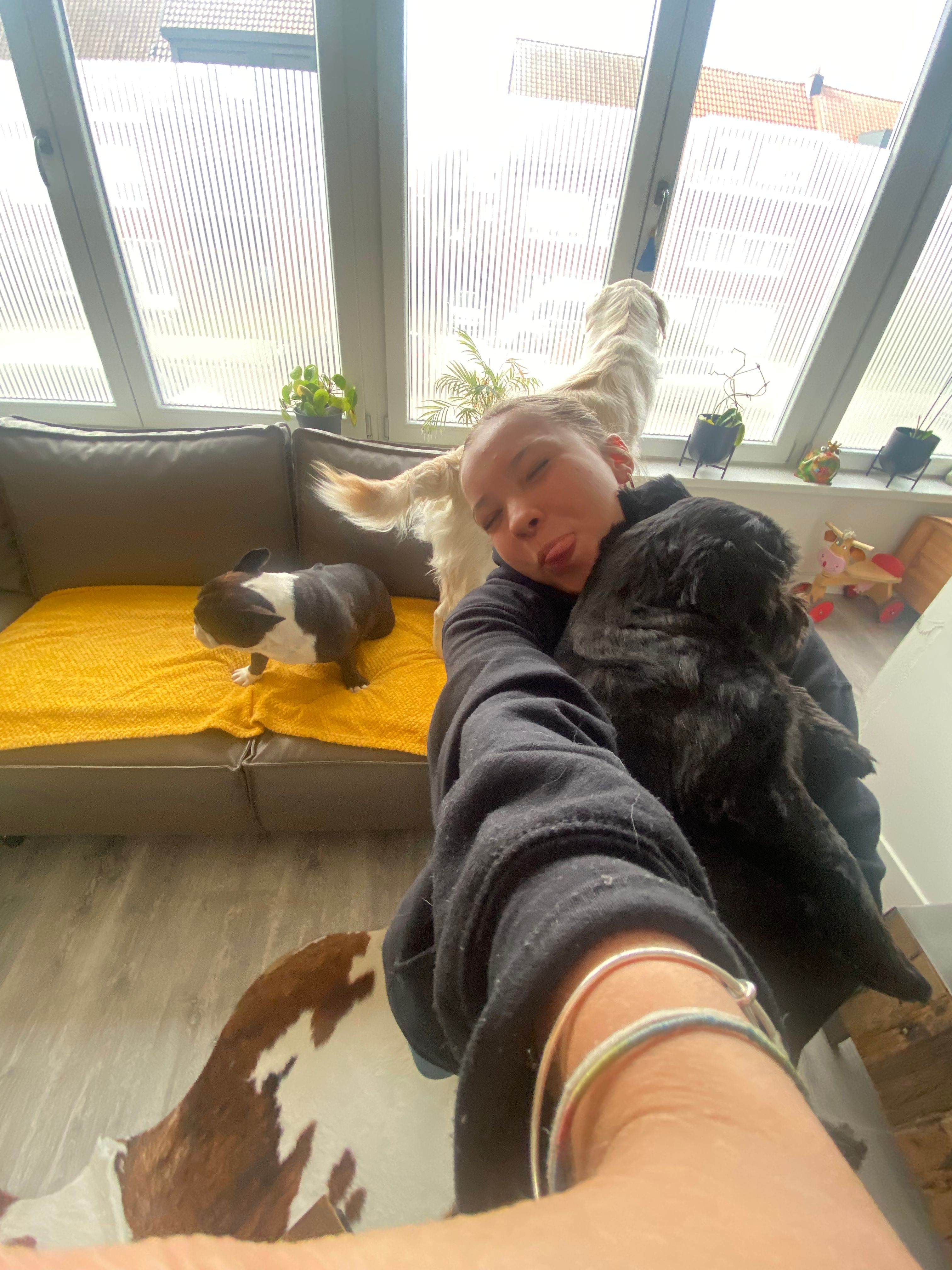 image-8