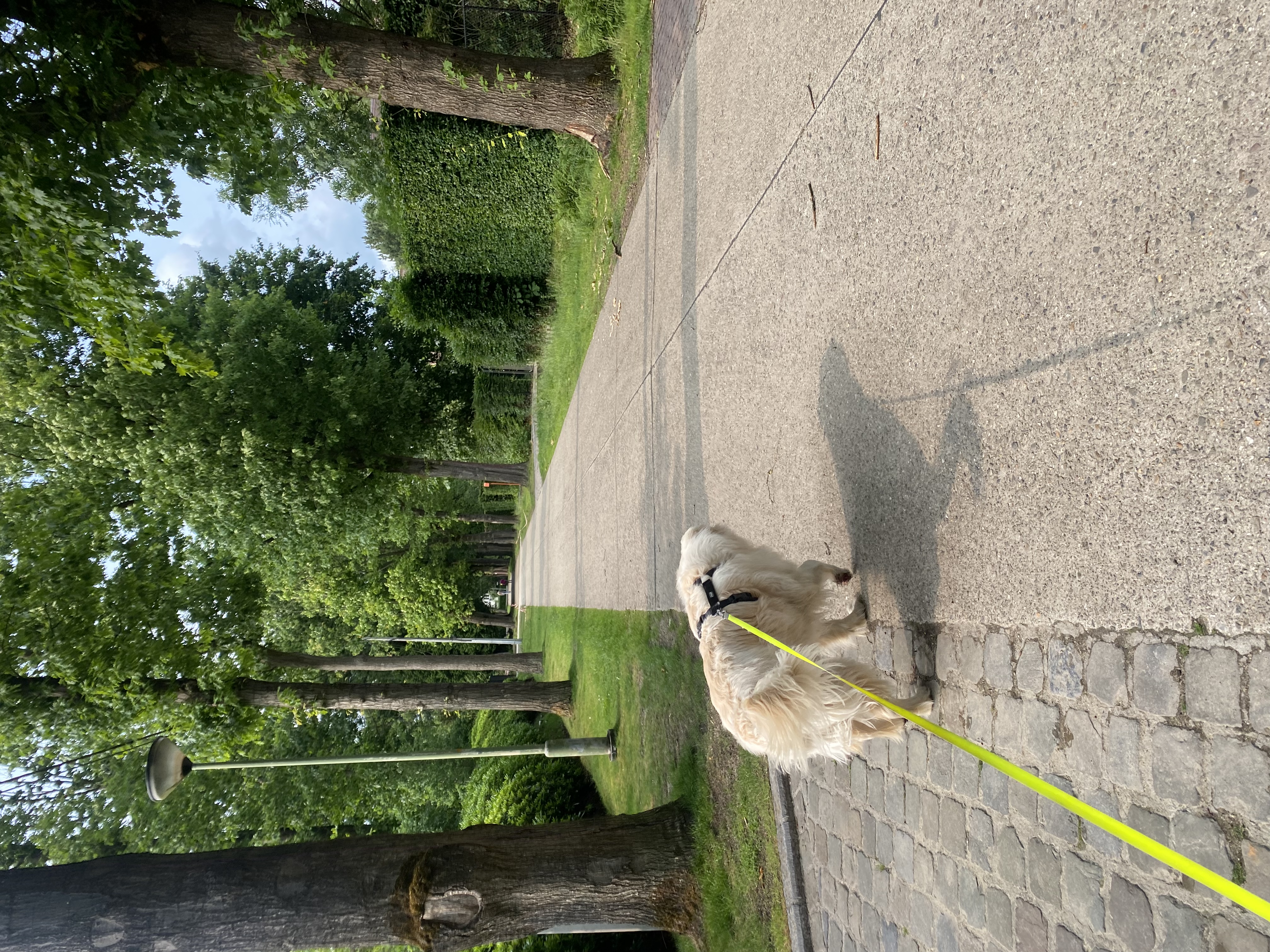 image-16