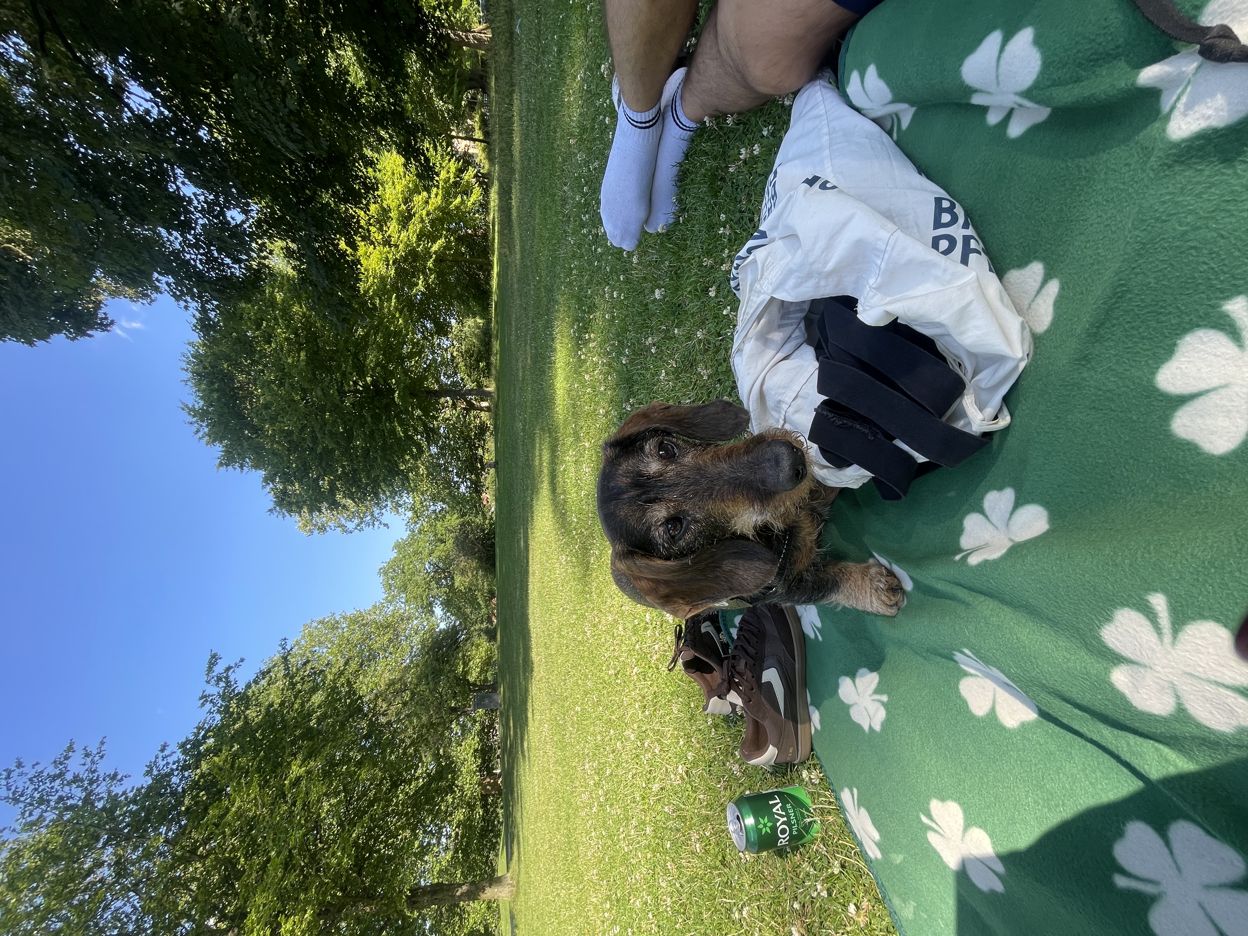 image-28