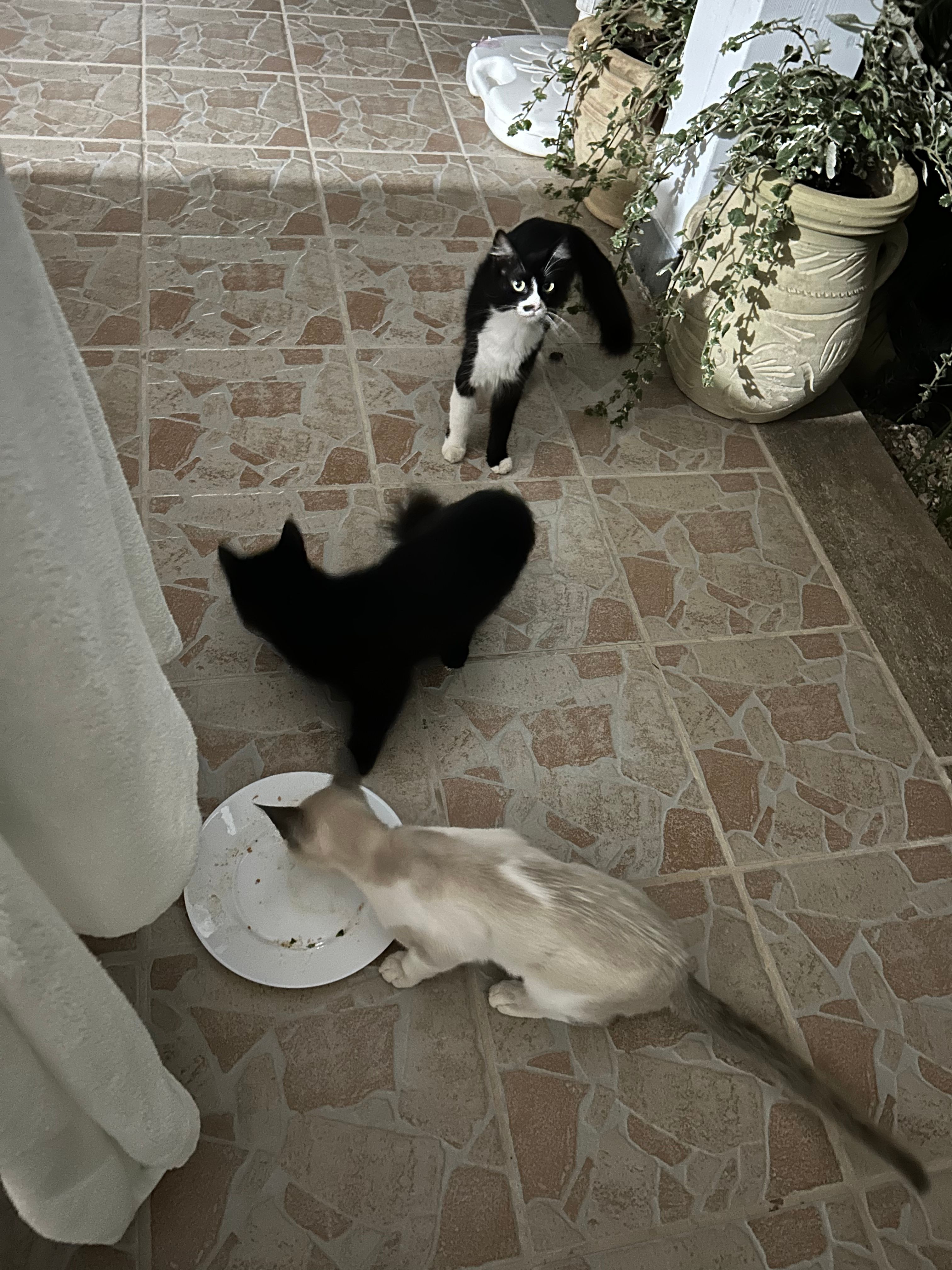 image-13