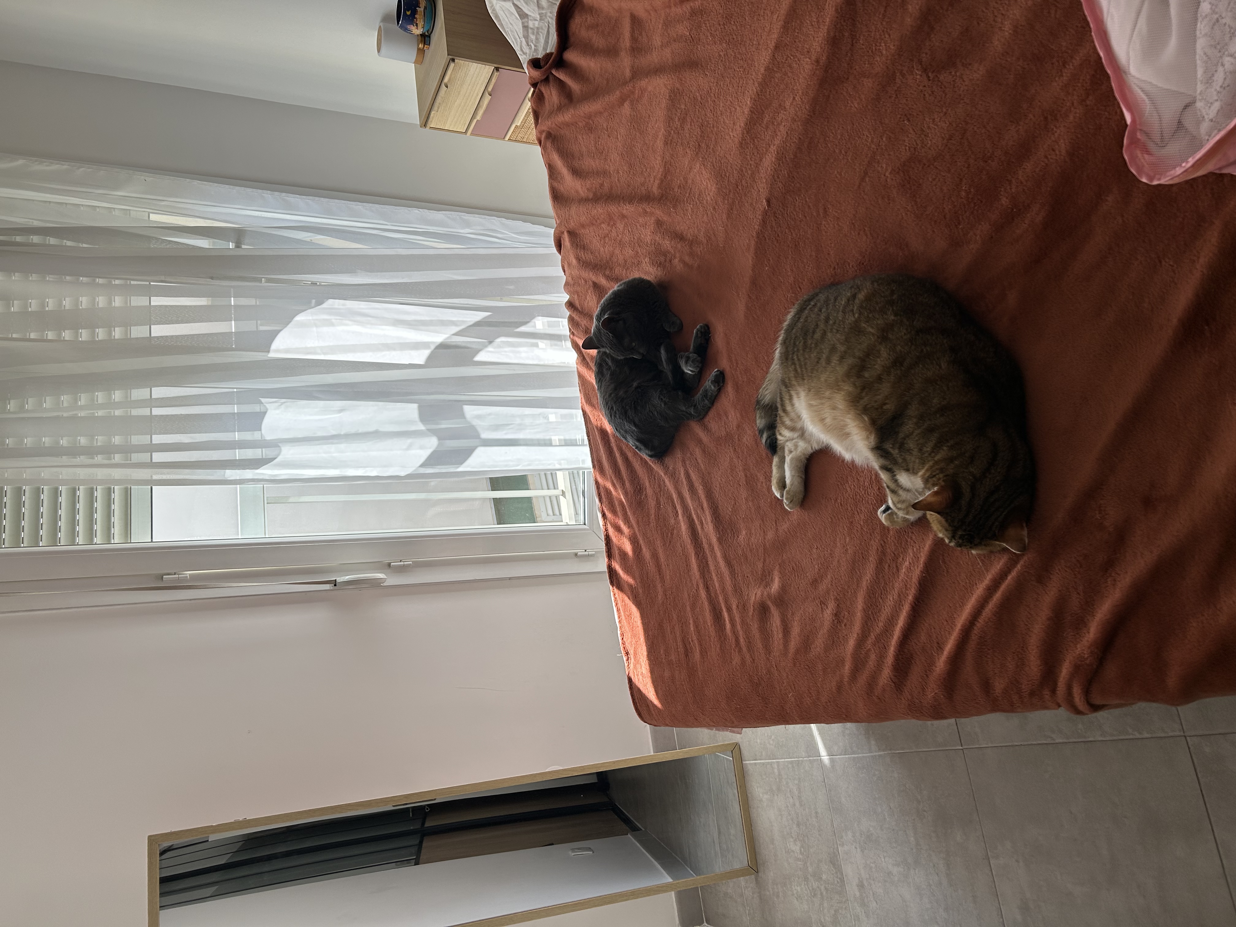 image-18