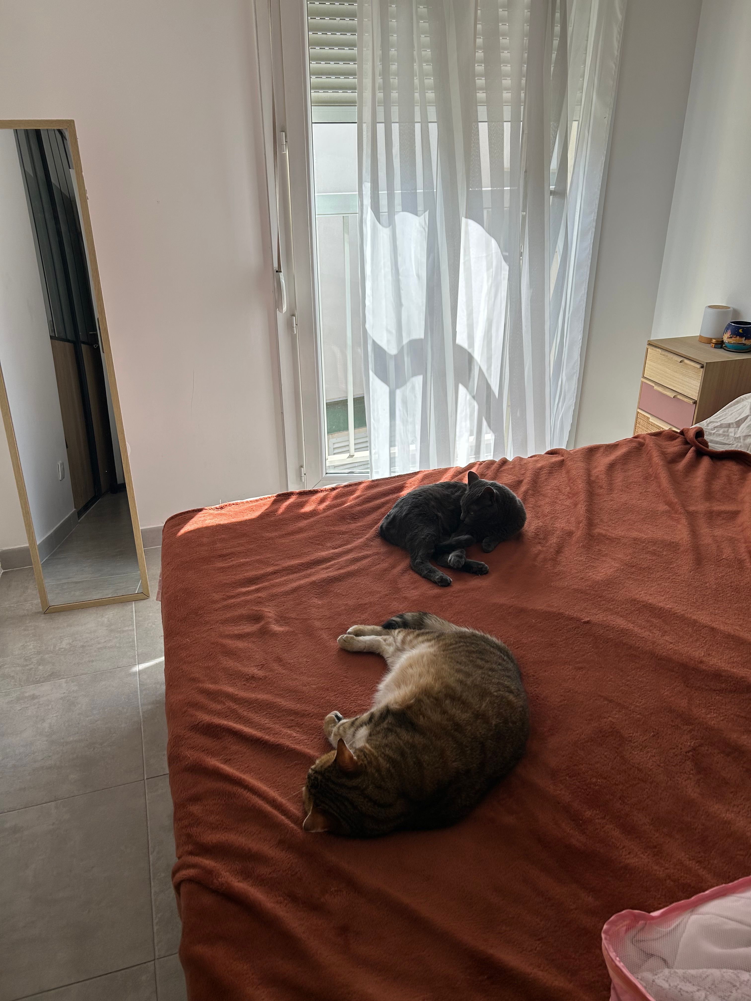 image-18