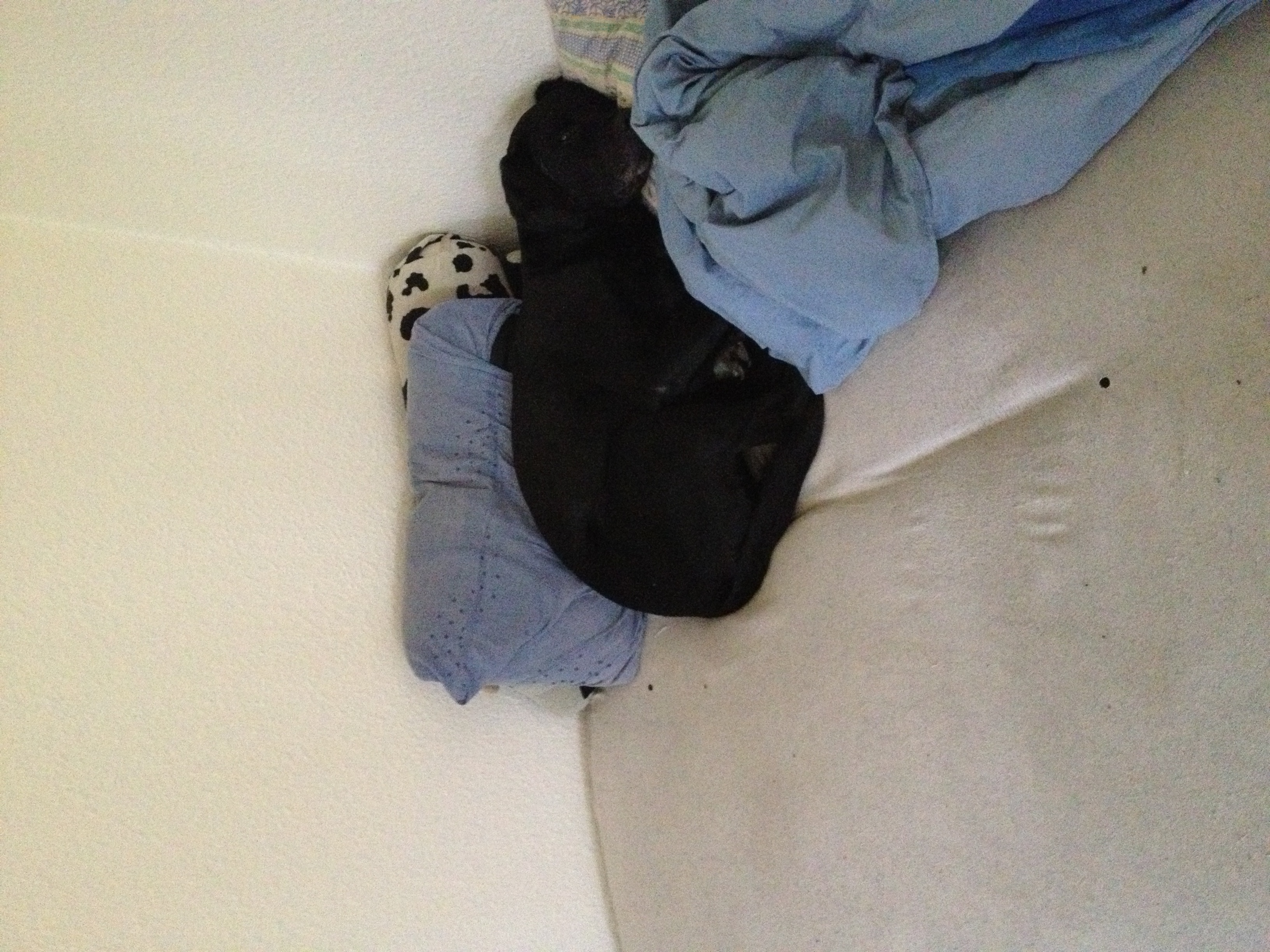 image-6
