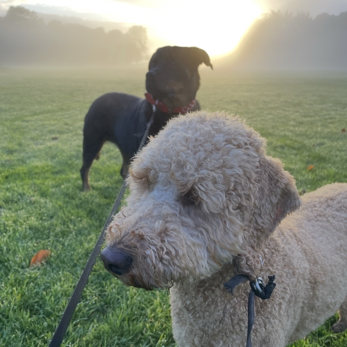 Bella and Juni 