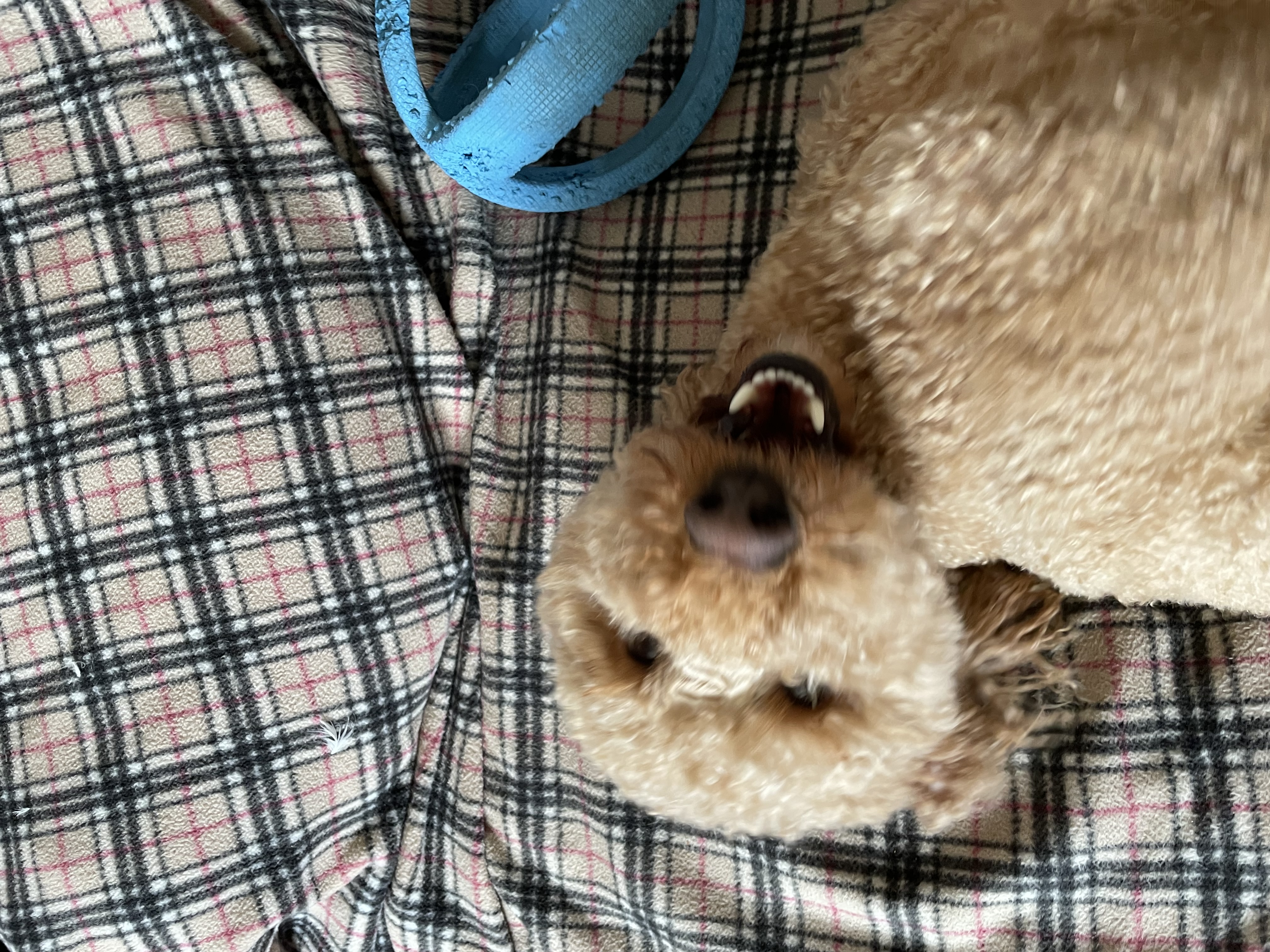 image-5
